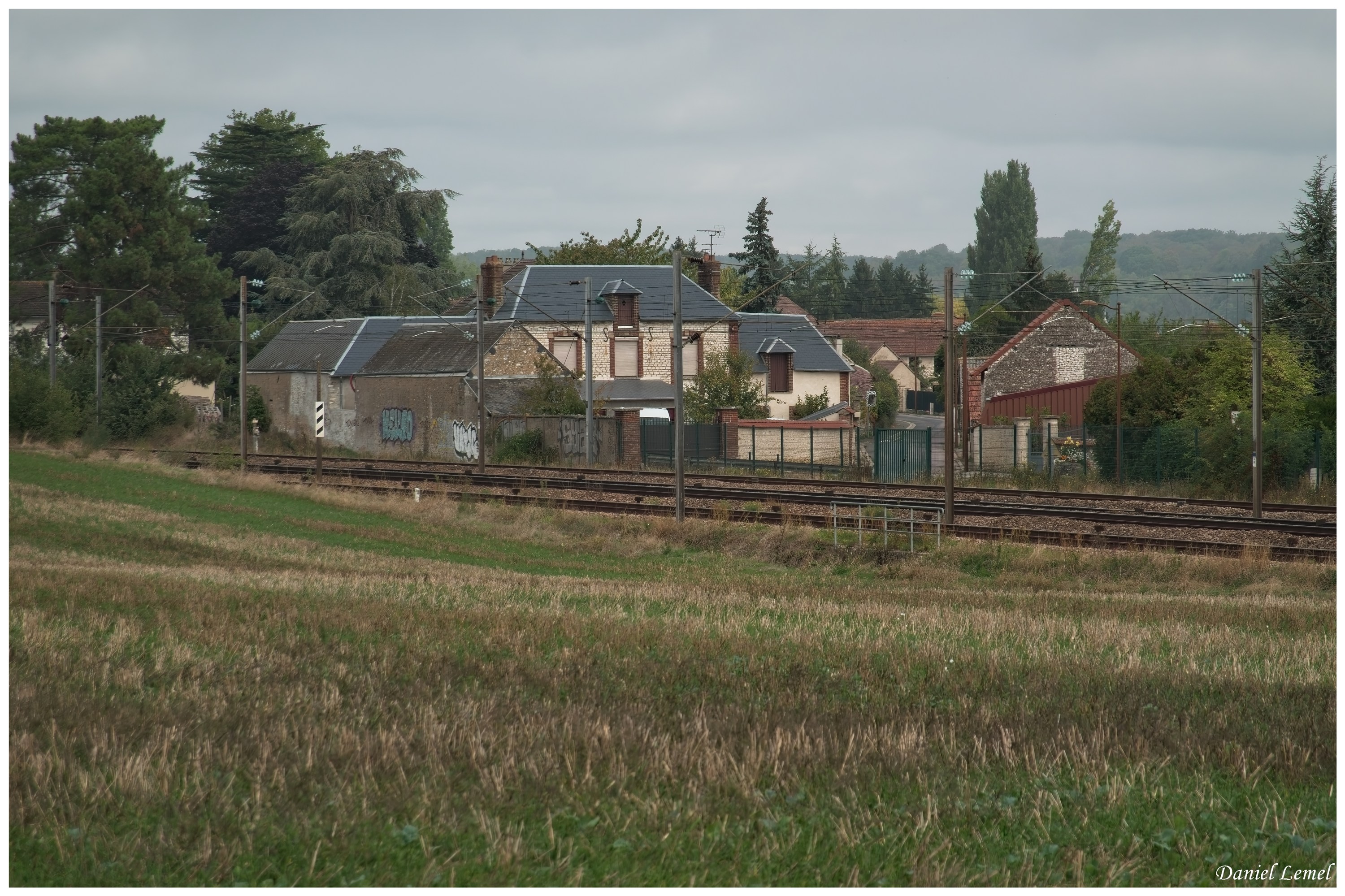  DSC4935W