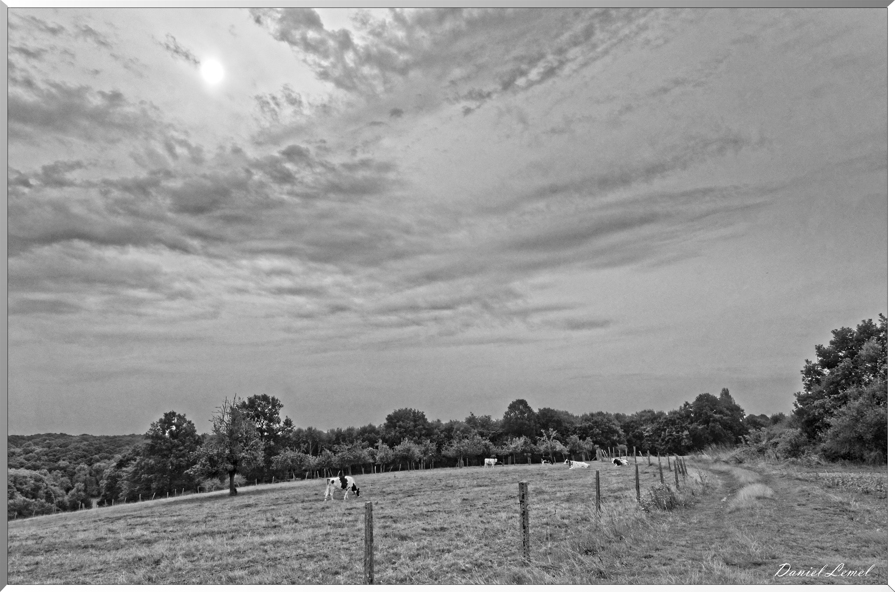 Notre-Dame-de-la-Mer