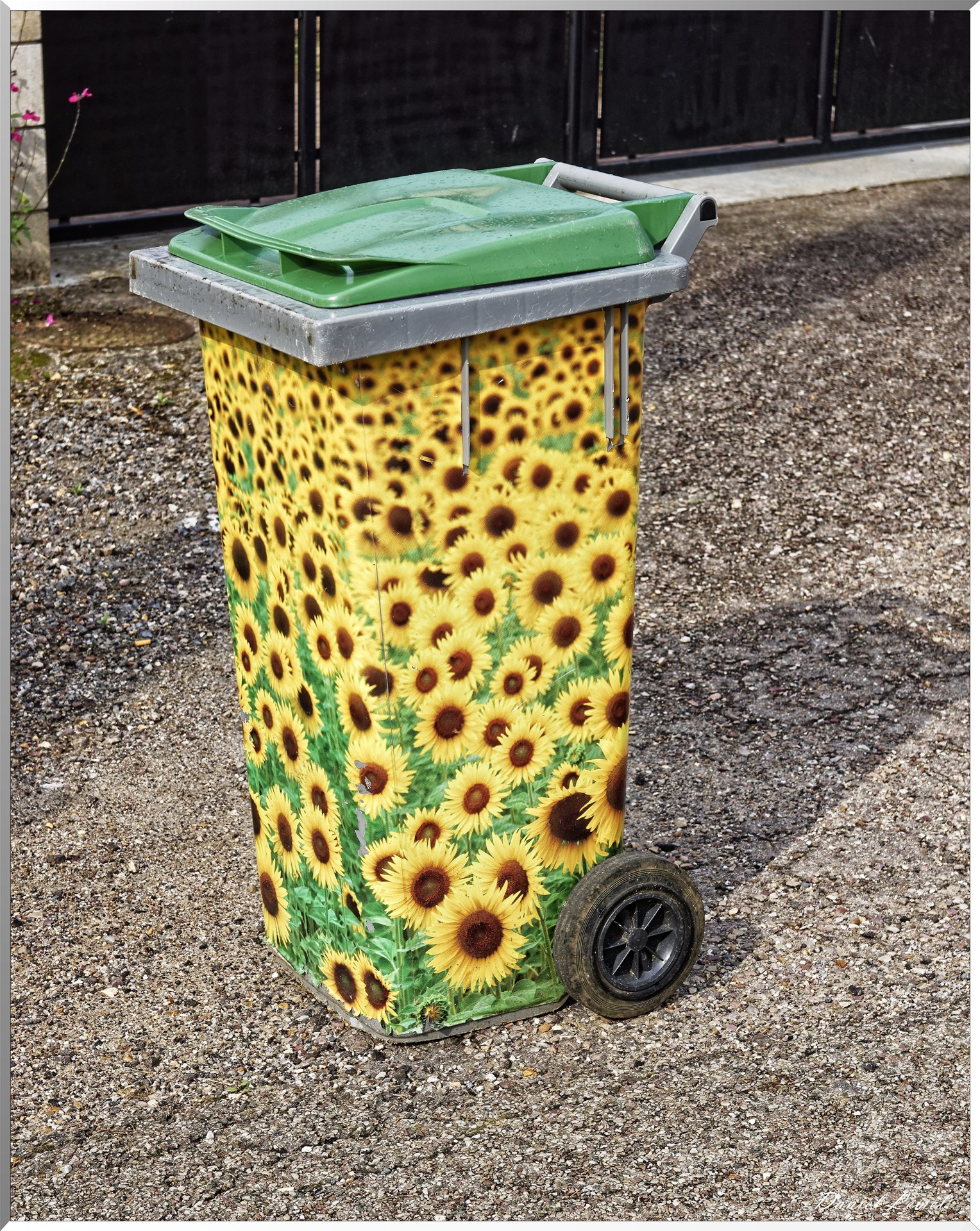 Notre-Dame-de-la-Mer