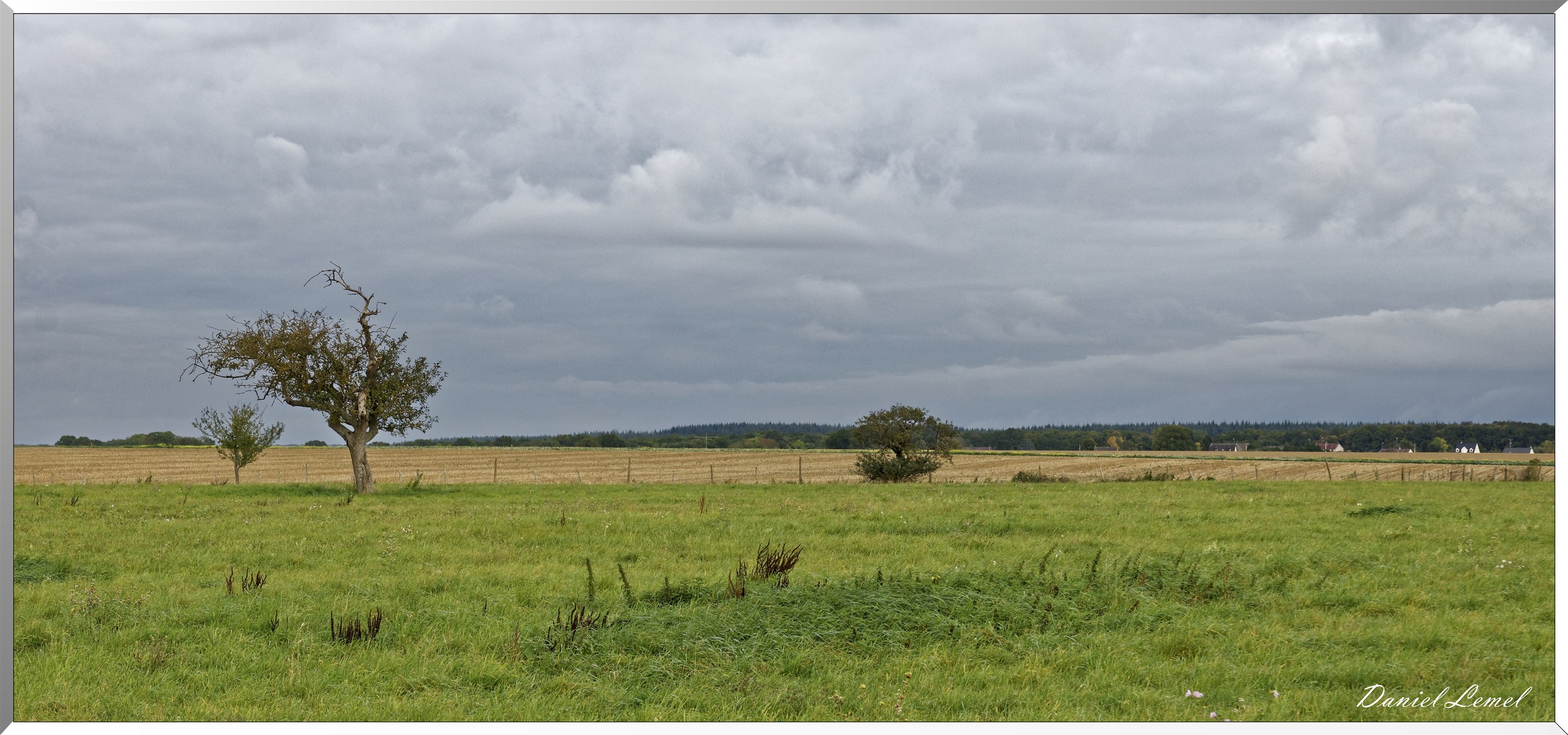Notre-Dame-de-la-Mer