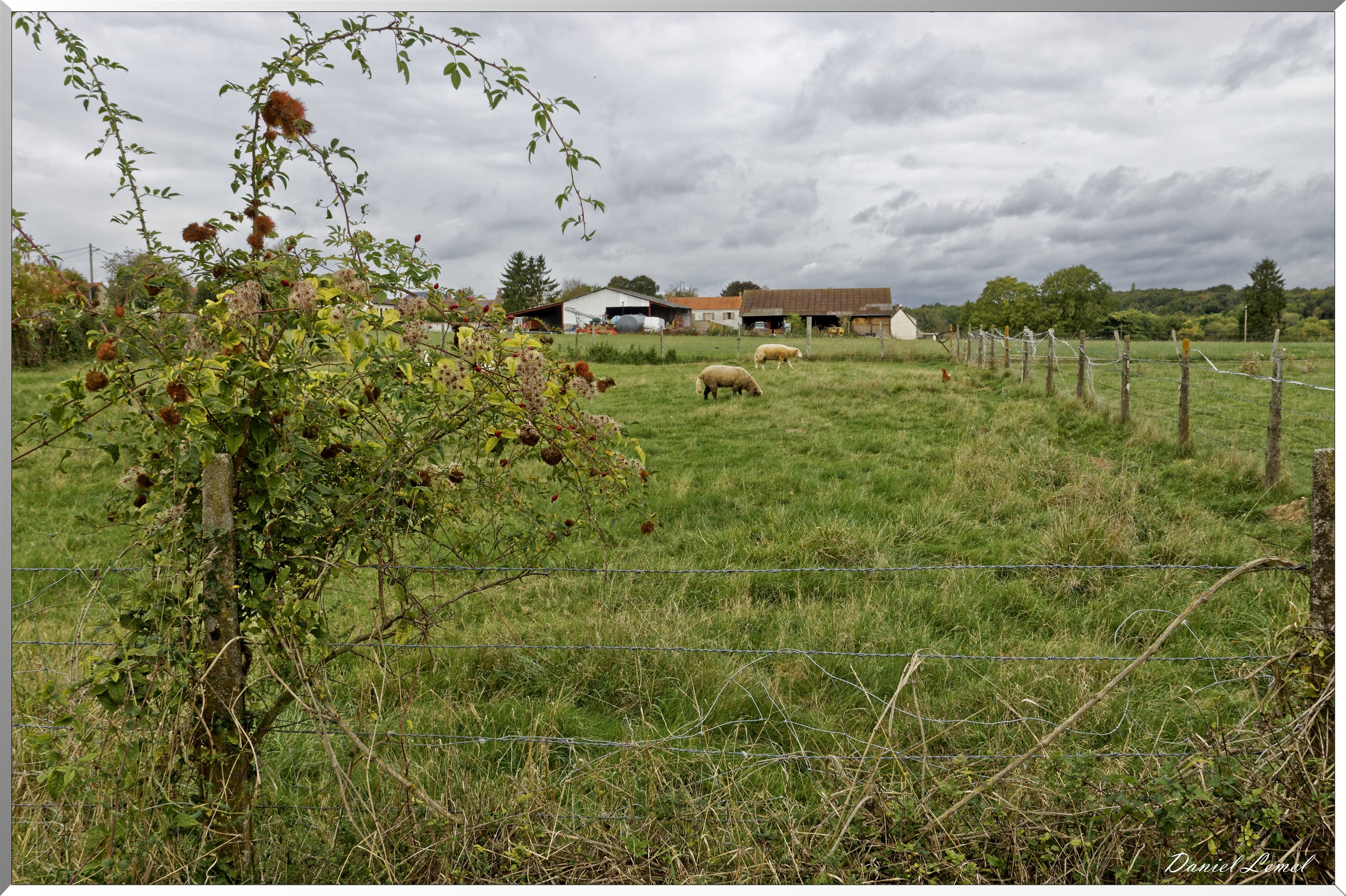 Notre-Dame-de-la-Mer