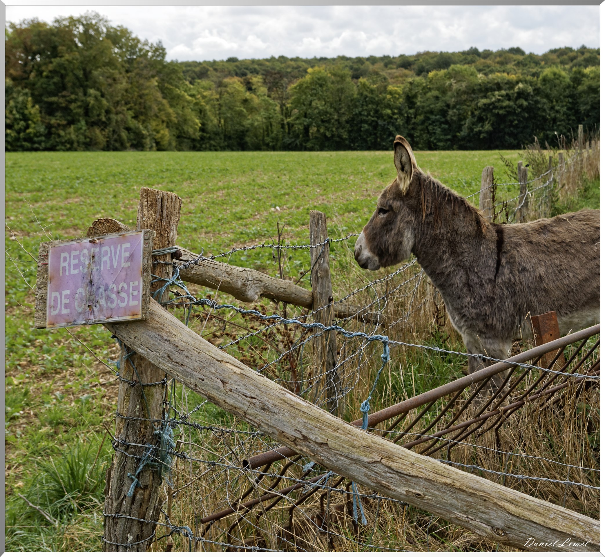 Notre-Dame-de-la-Mer