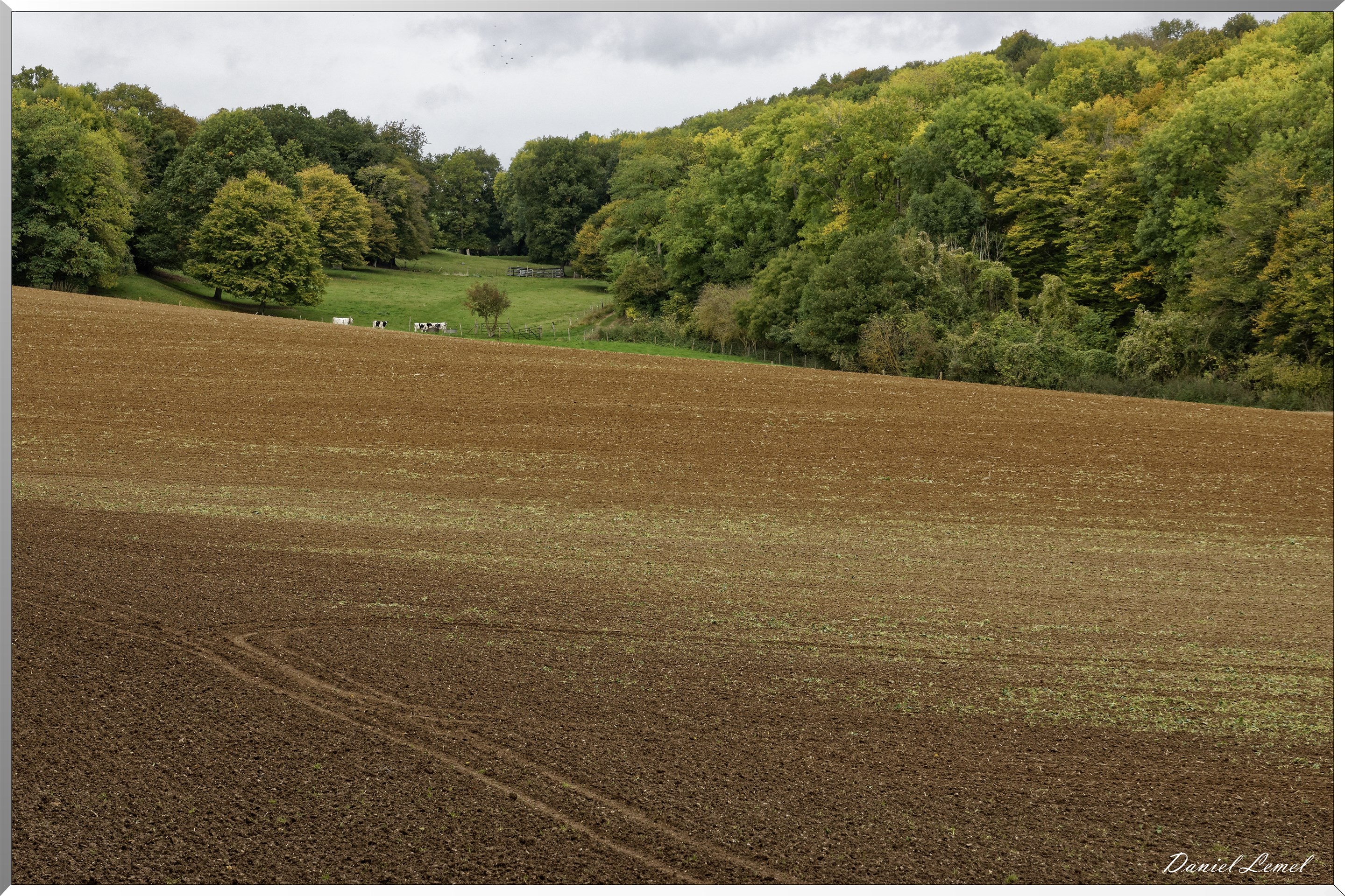 Notre-Dame-de-la-Mer