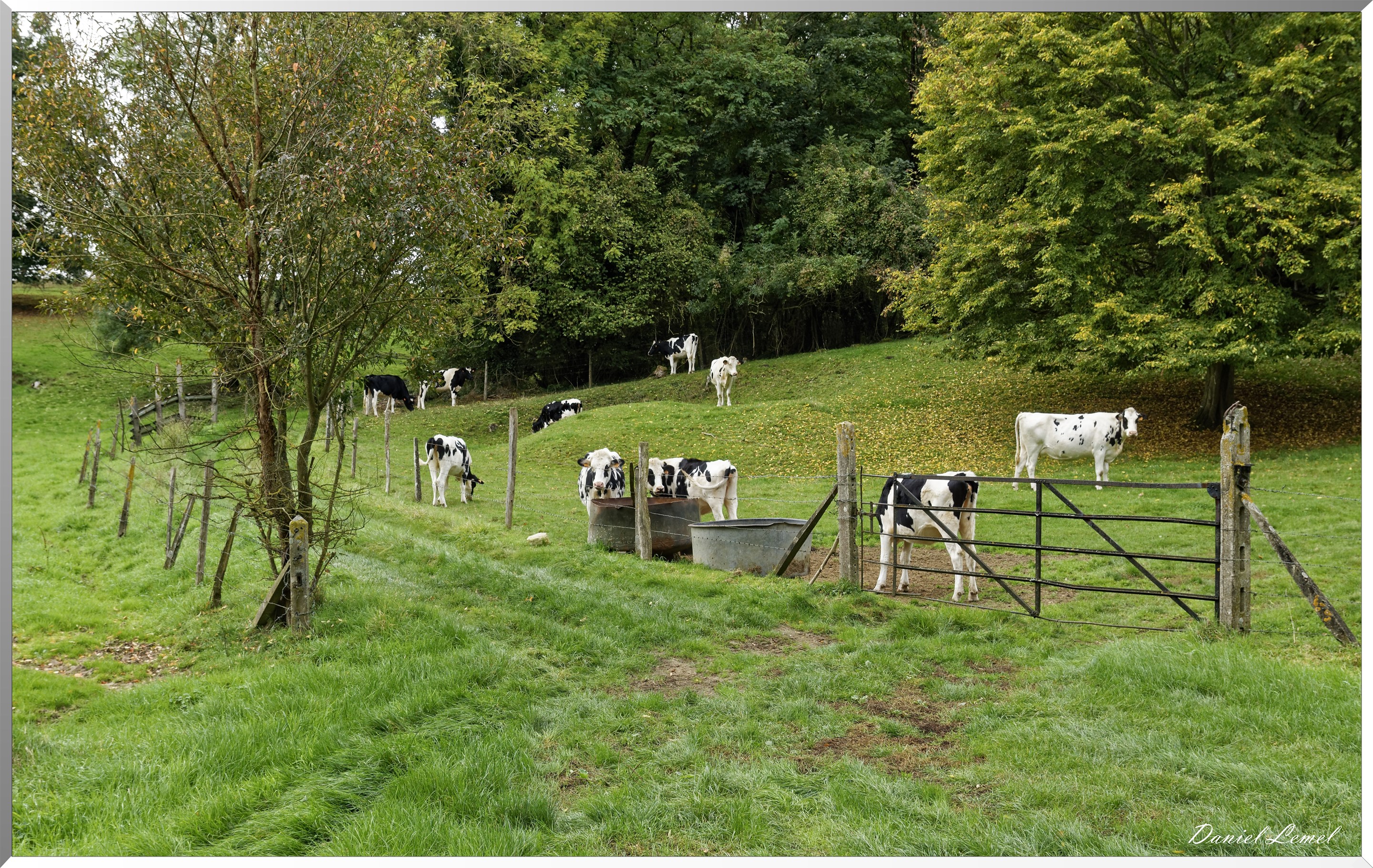 Notre-Dame-de-la-Mer