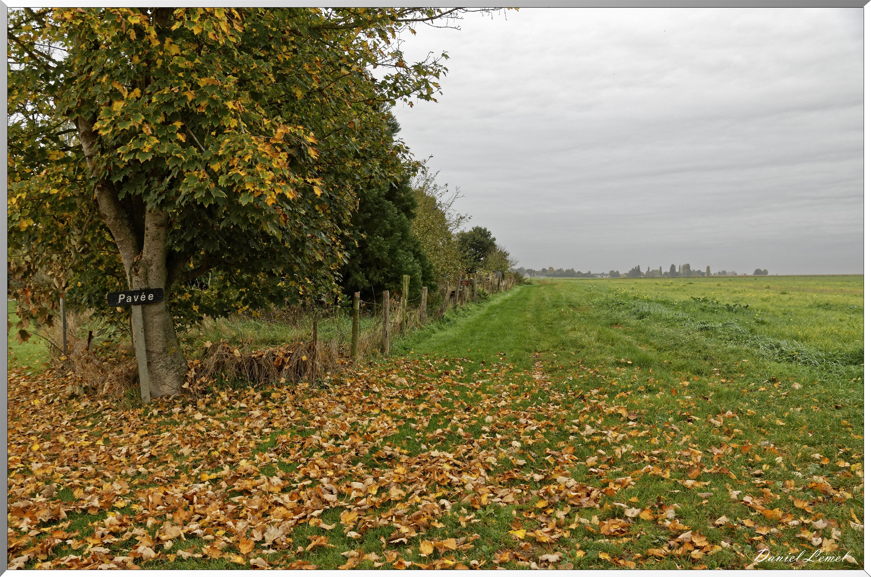 17-10-2017 -Guiseniers
