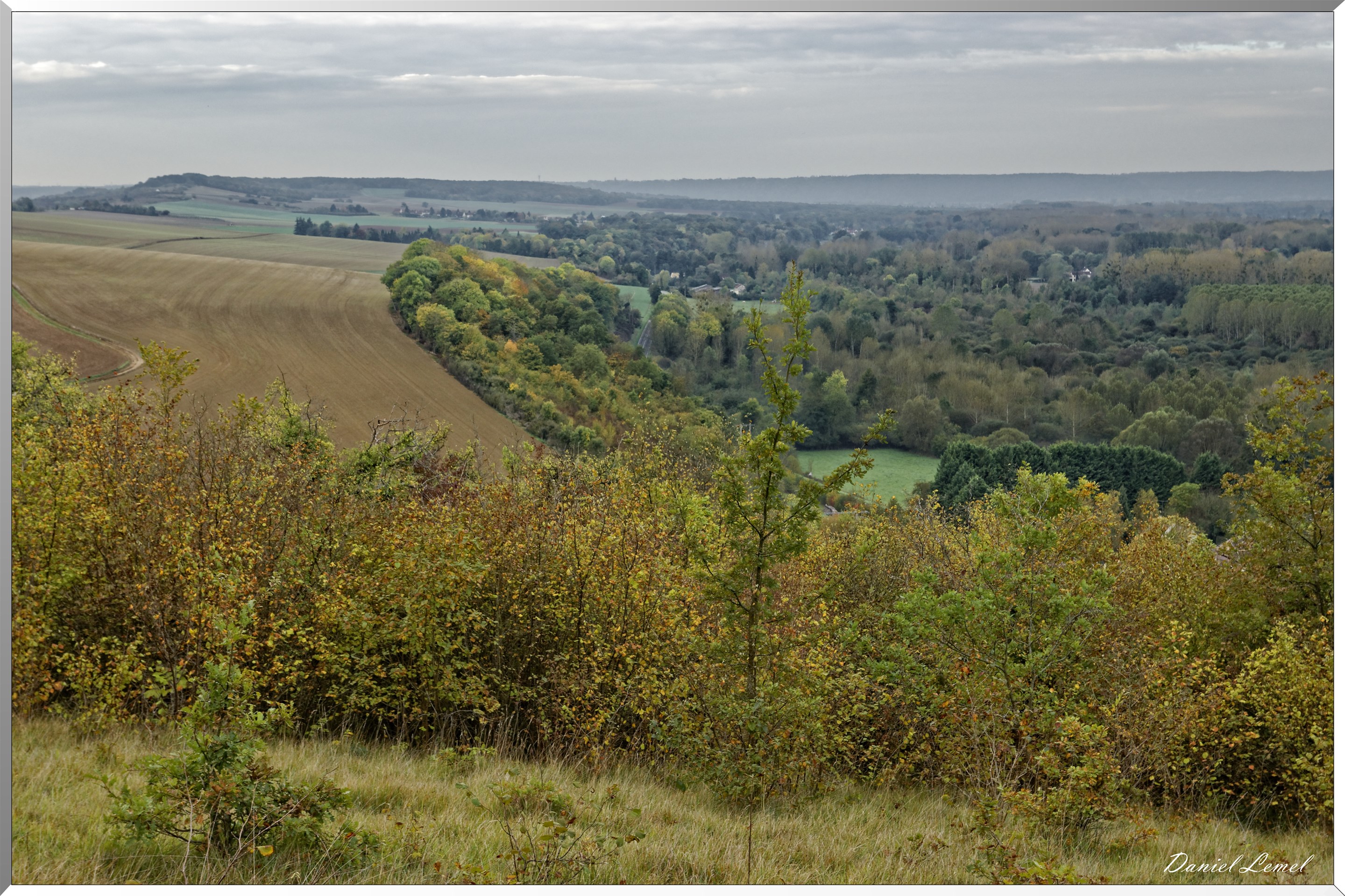 Arborétum - La Roche-Guyon