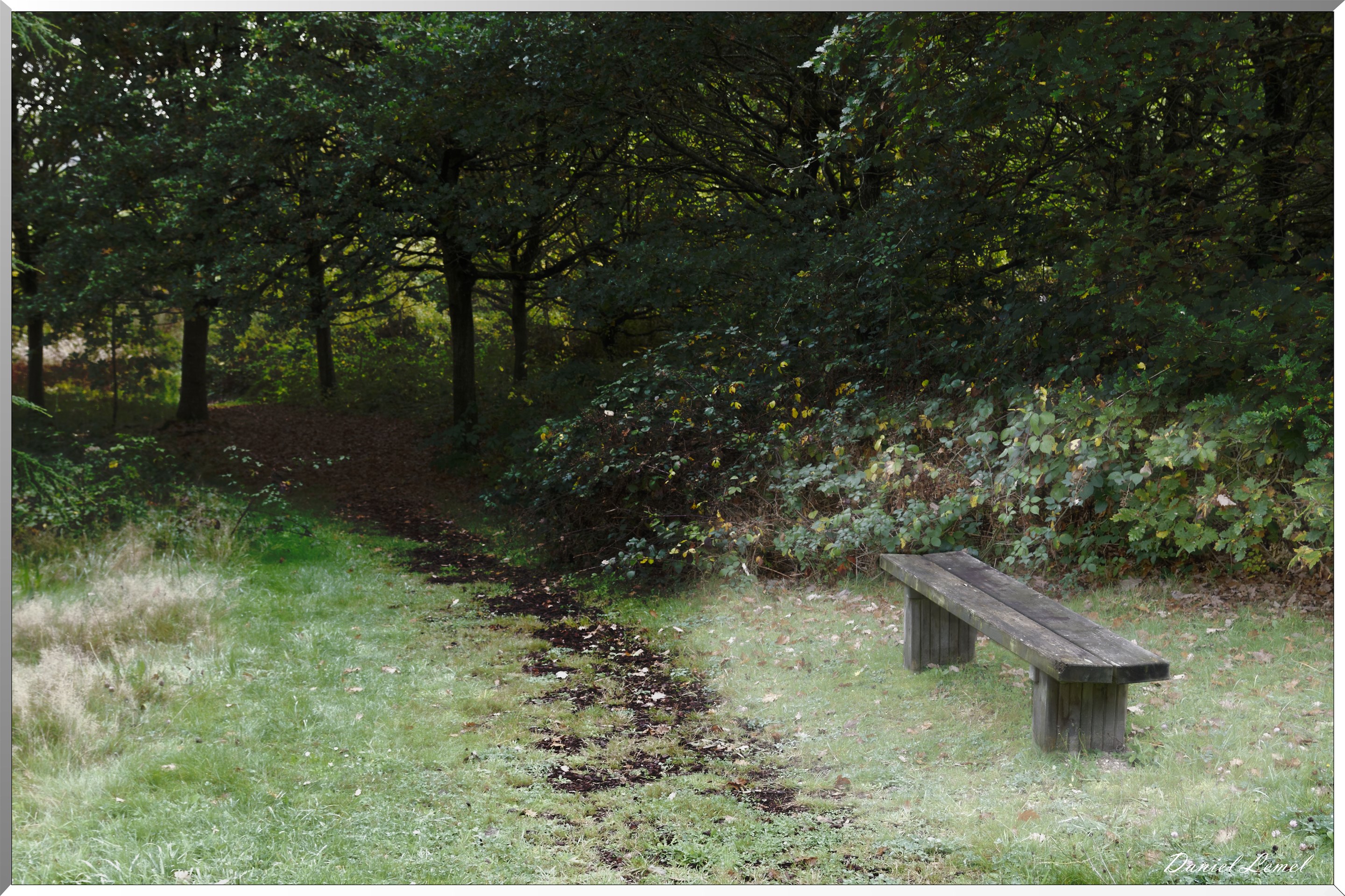 Arborétum - La Roche-Guyon