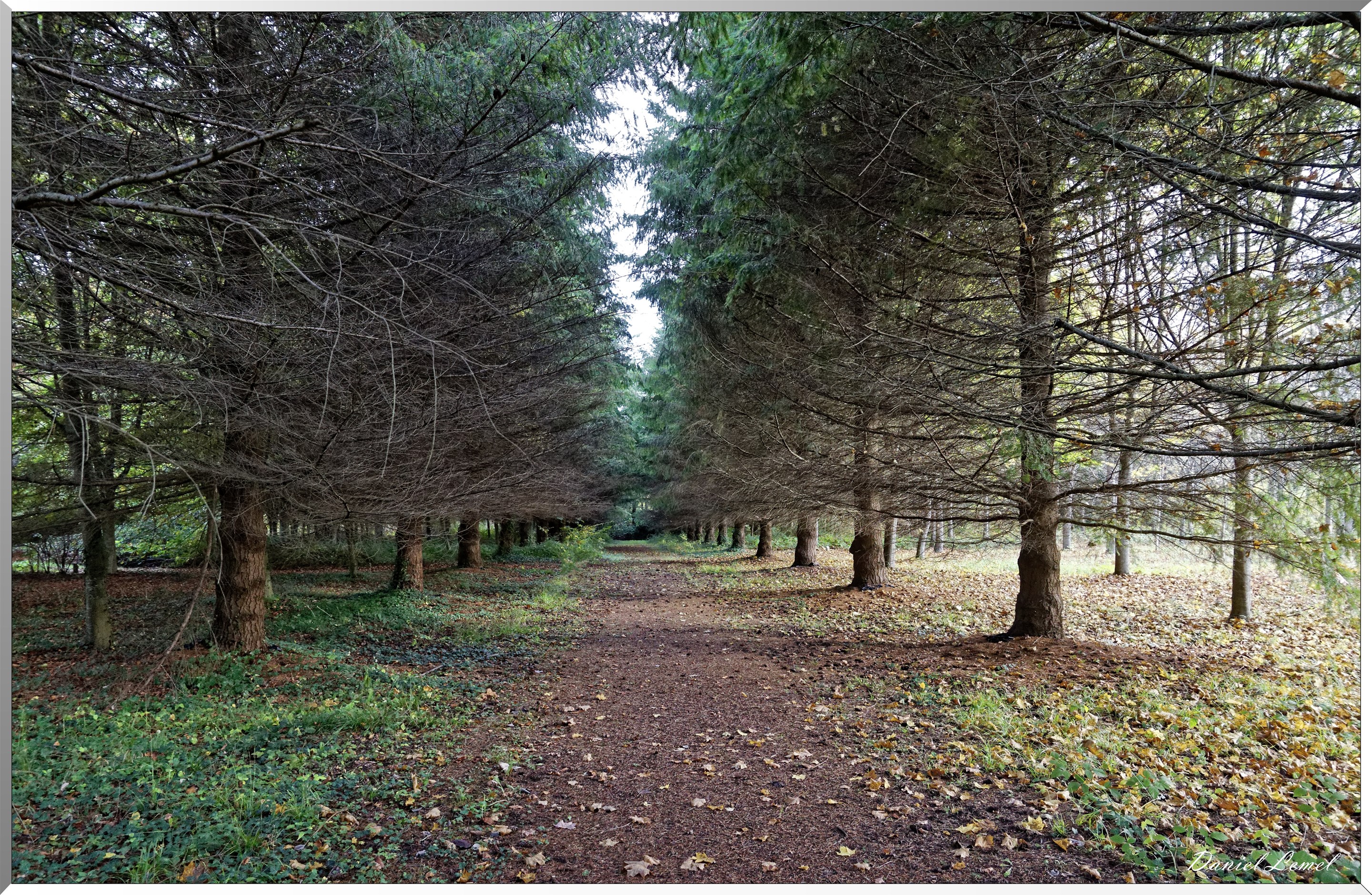 Arborétum - La Roche-Guyon