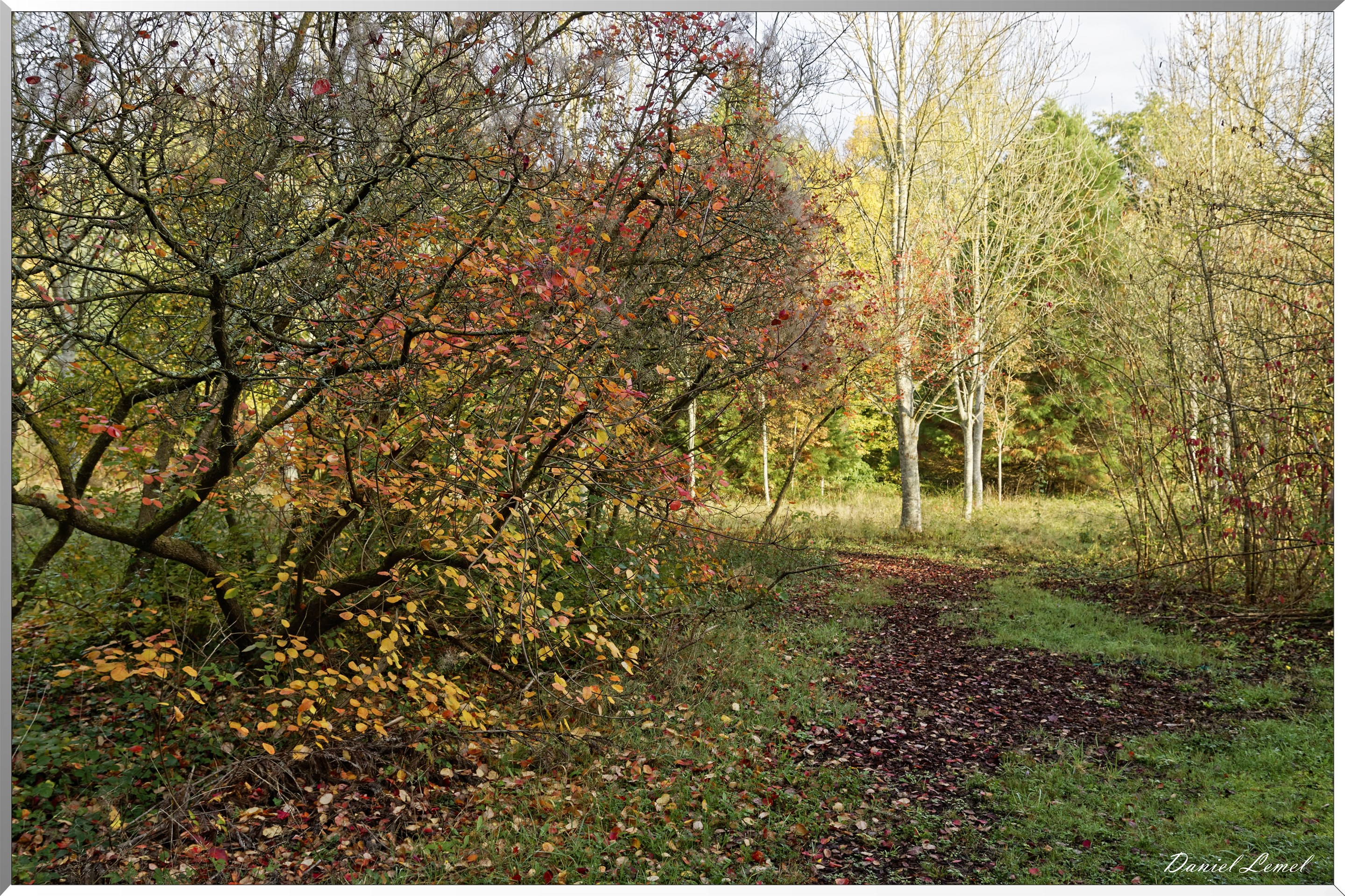 Arborétum - La Roche-Guyon