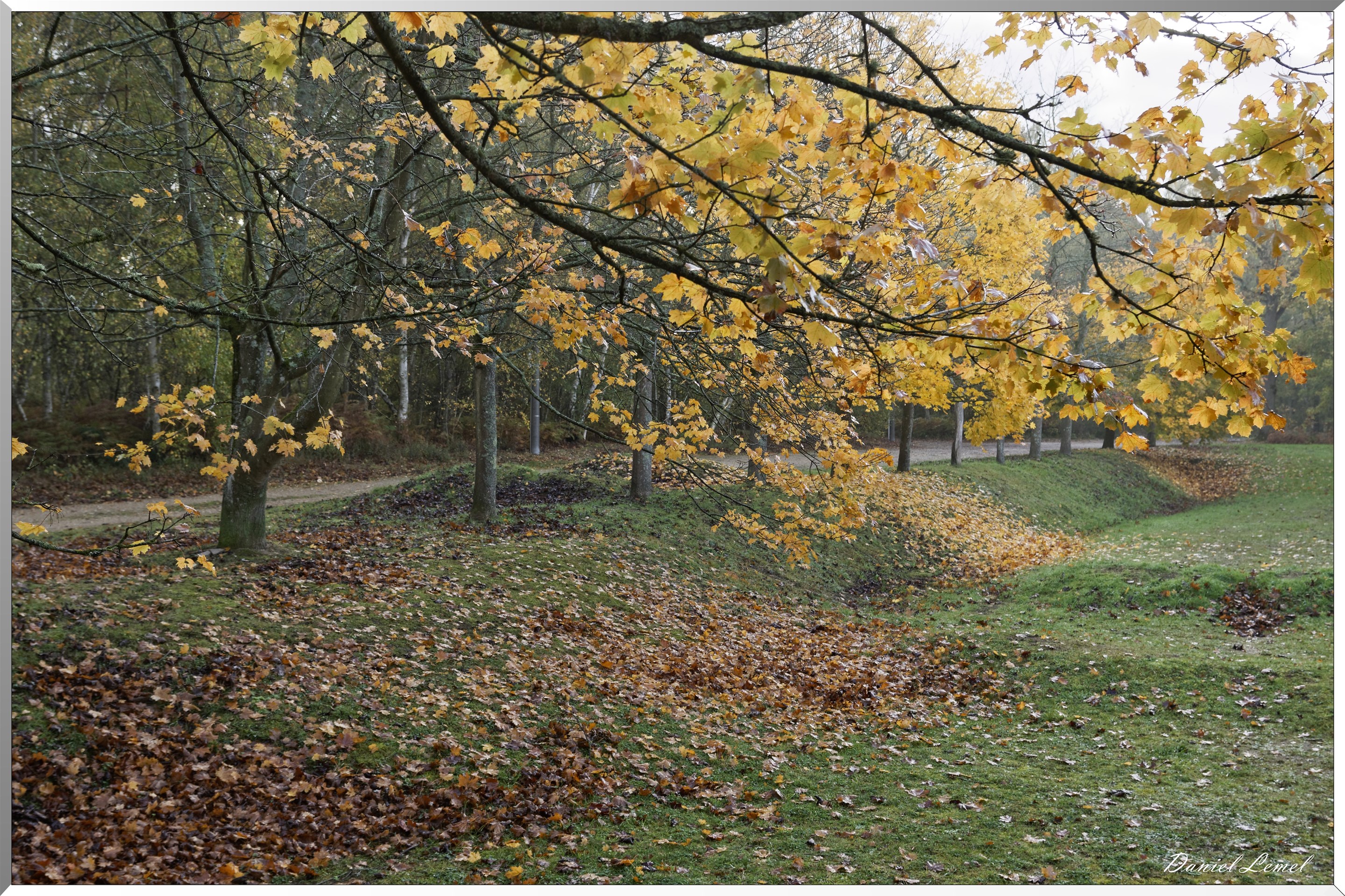 Plateau de l'espace - Vernon