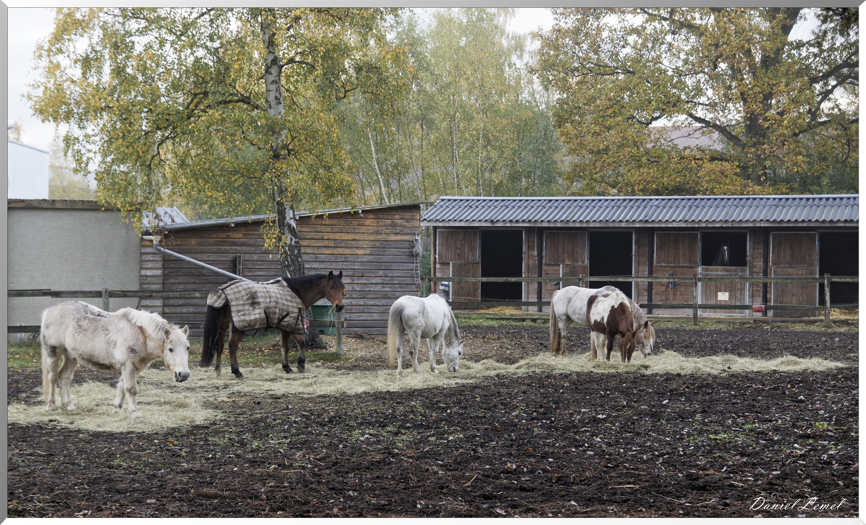 Plateau de l'espace - Vernon