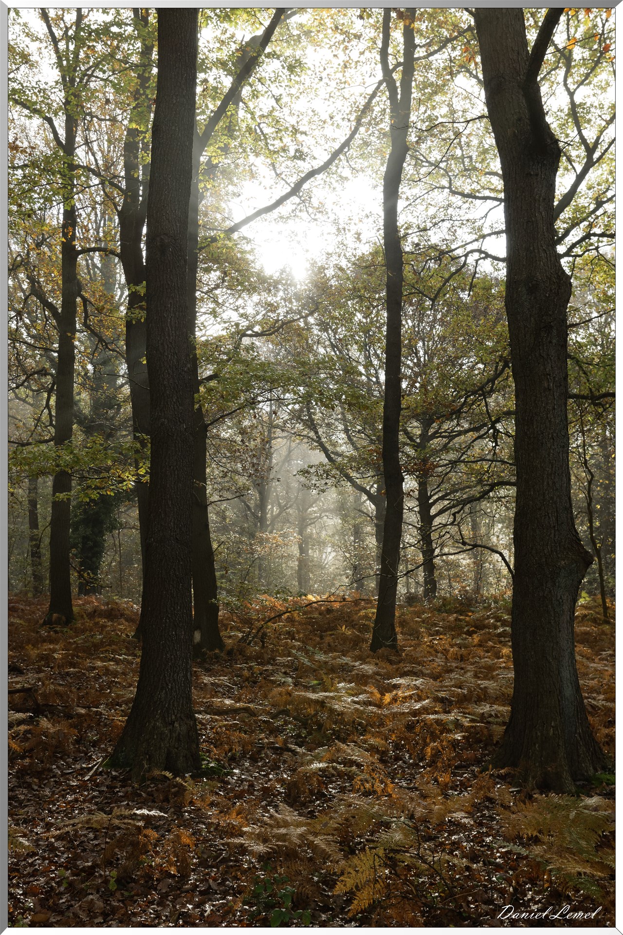 Plateau de l'espace - Vernon