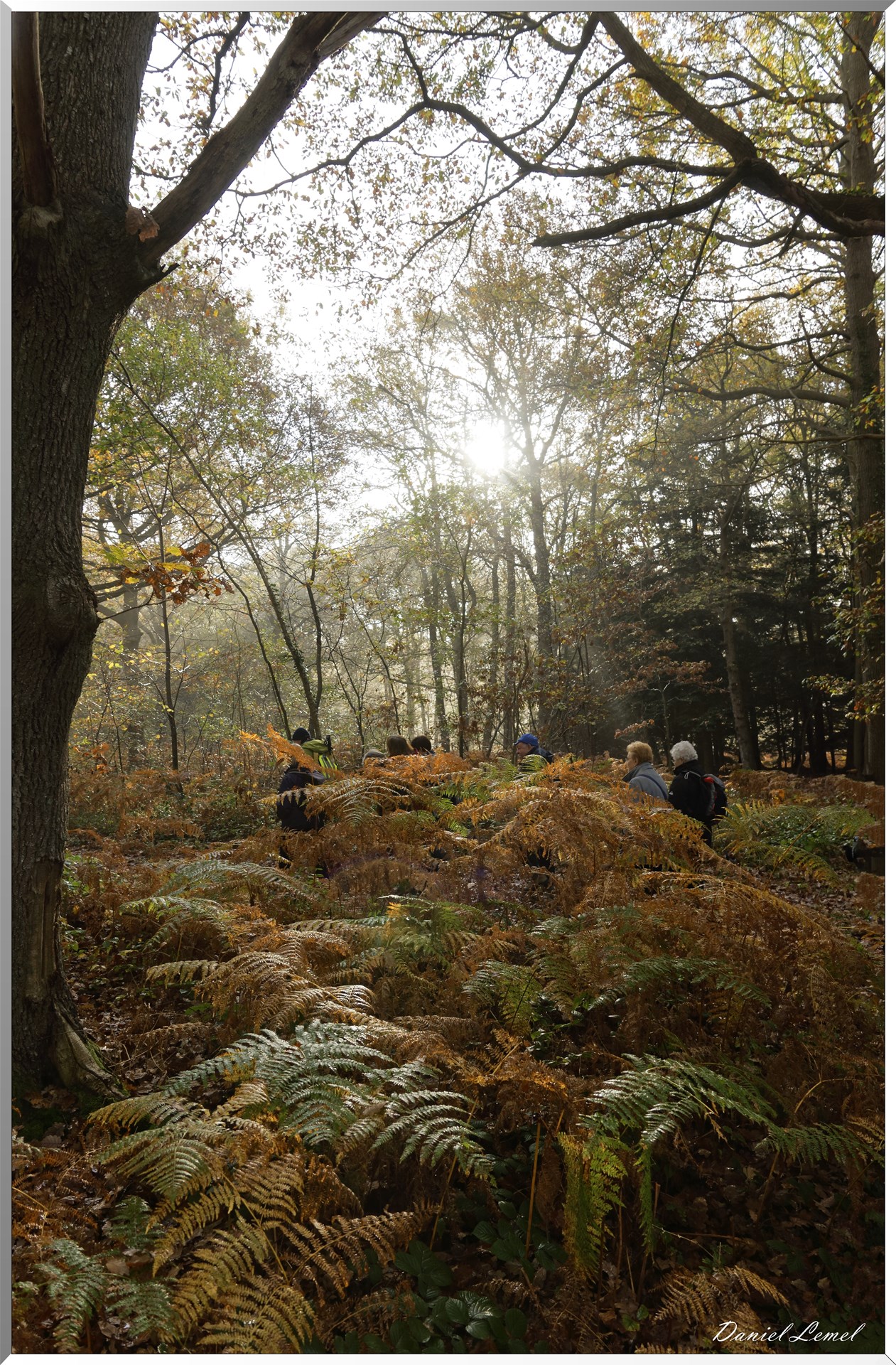 Plateau de l'espace - Vernon