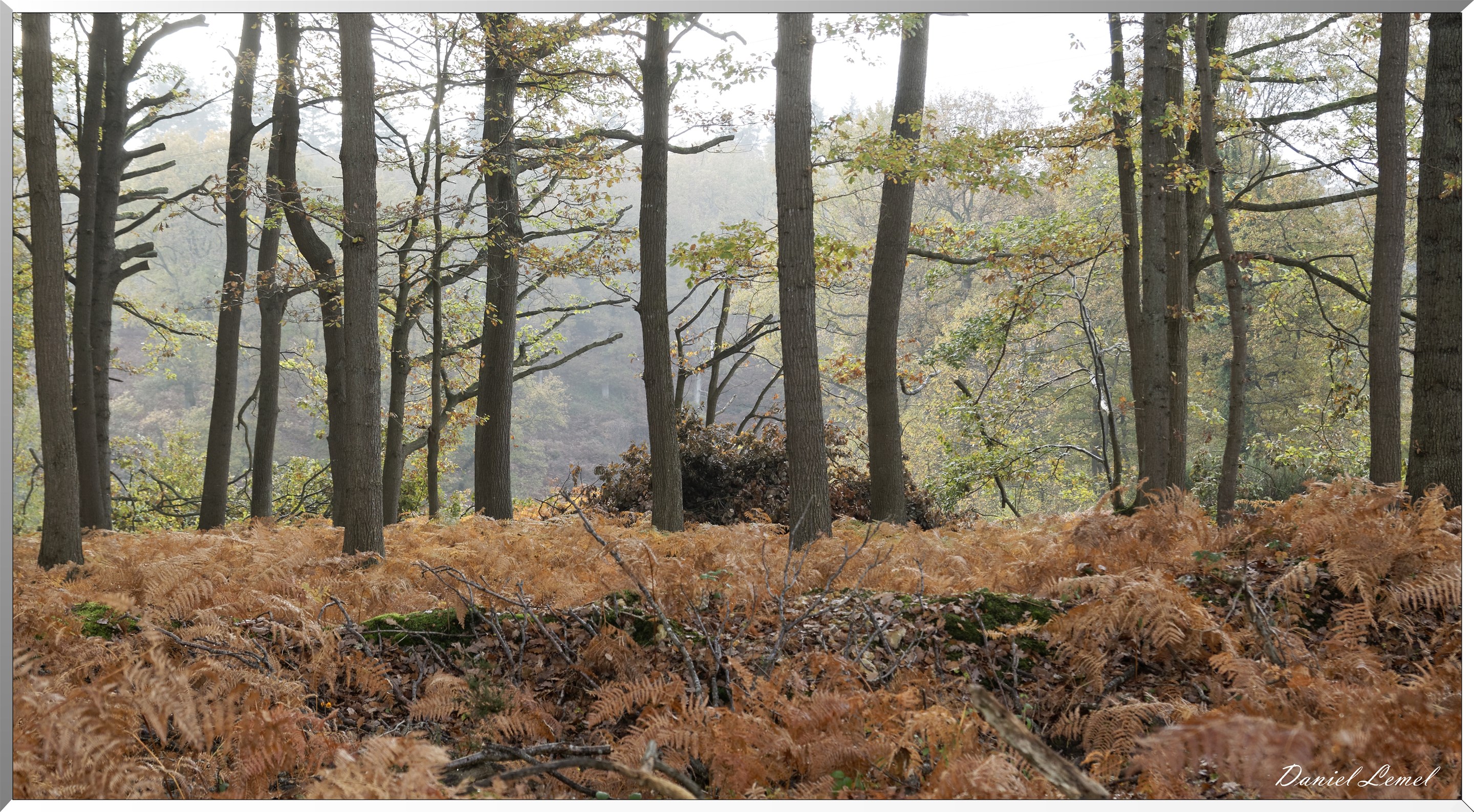 Plateau de l'espace - Vernon
