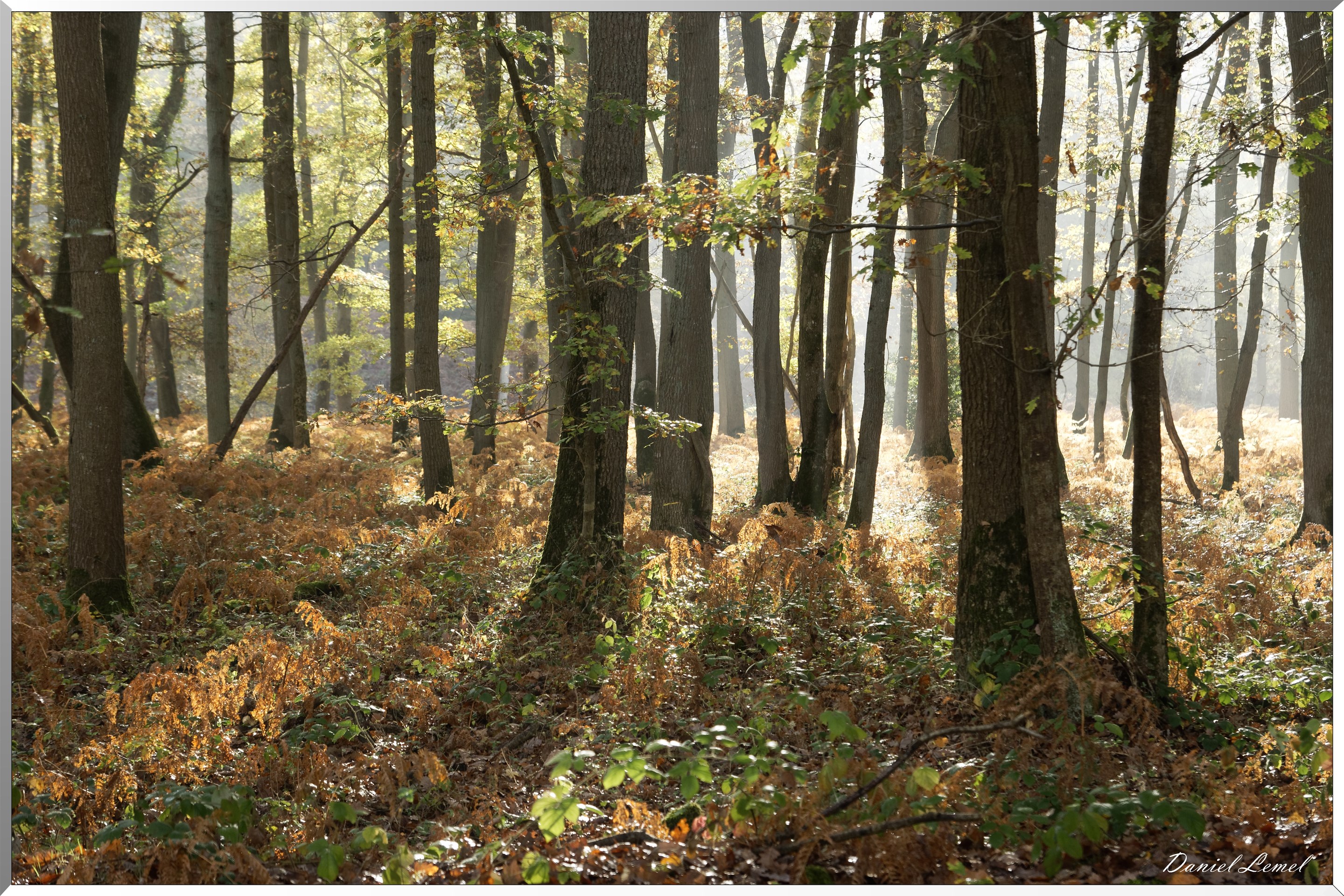 Plateau de l'espace - Vernon