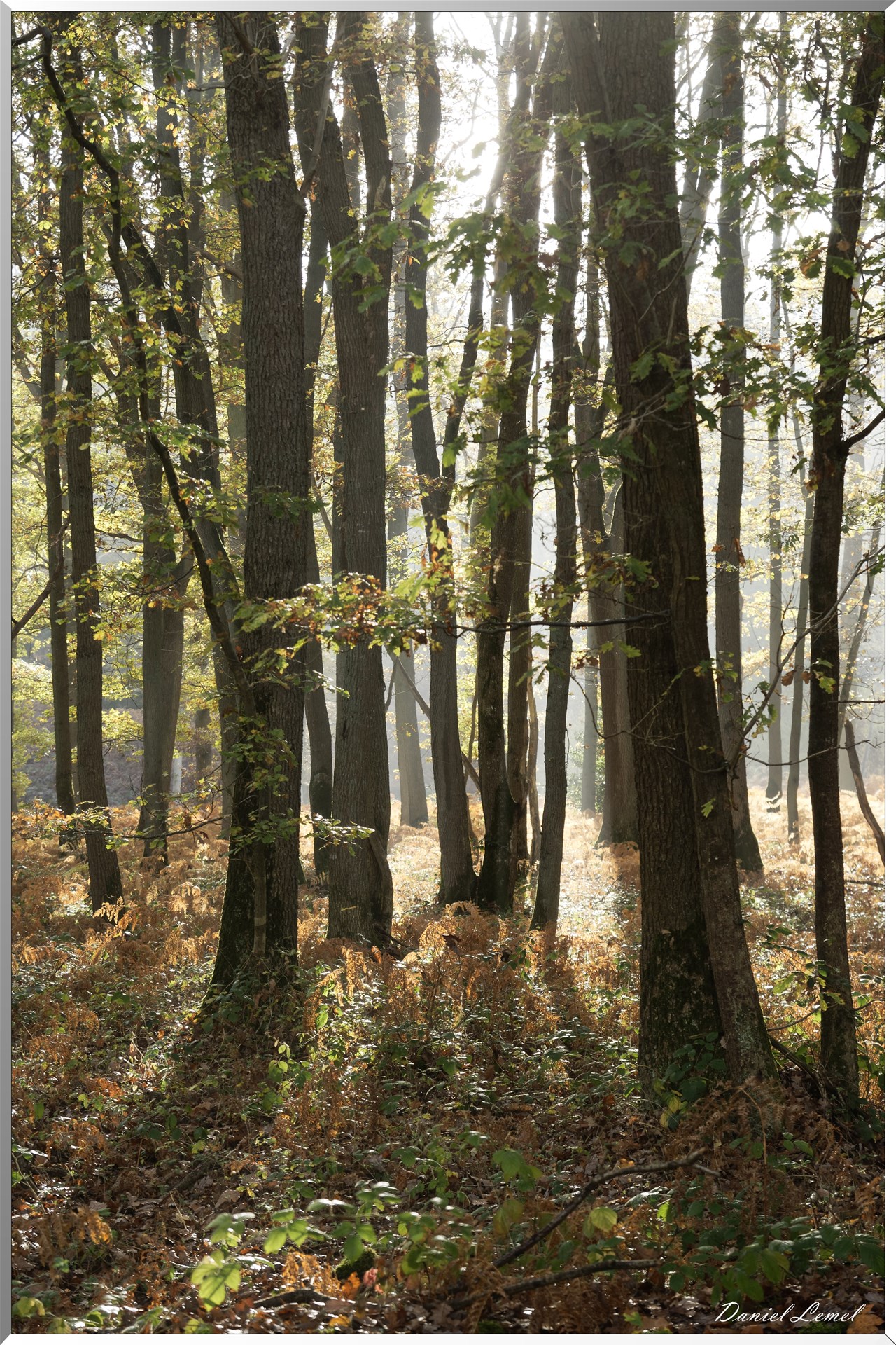 Plateau de l'espace - Vernon