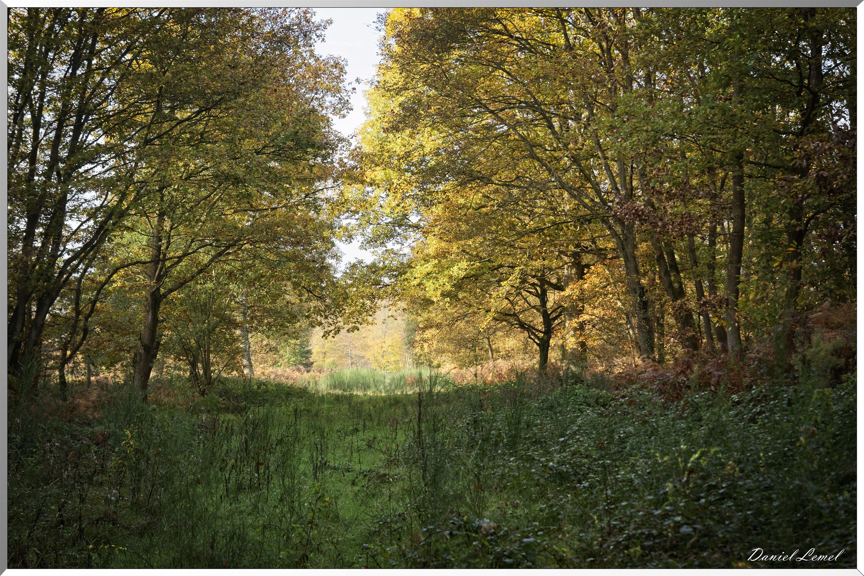 Plateau de l'espace - Vernon