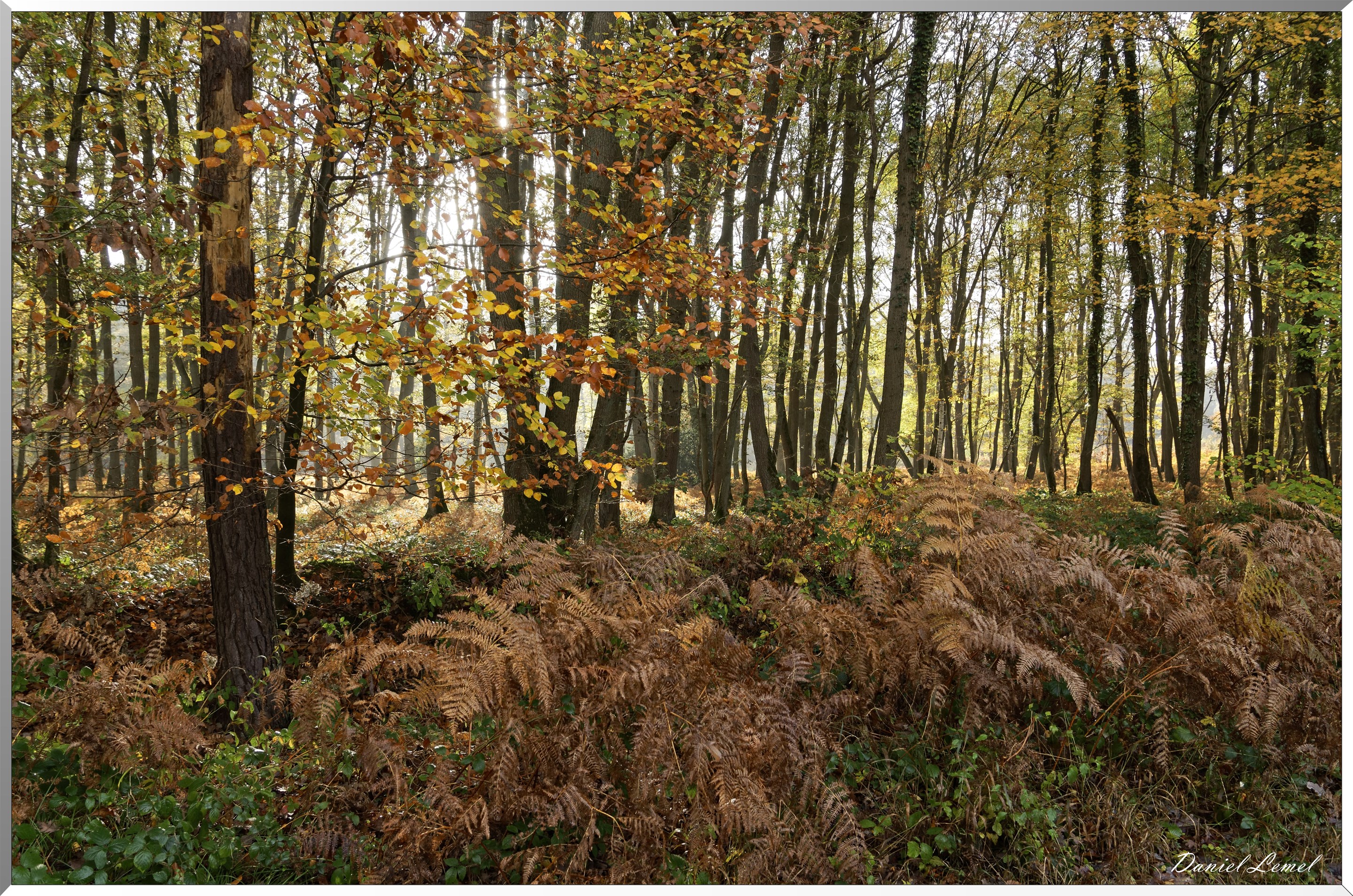 Plateau de l'espace - Vernon