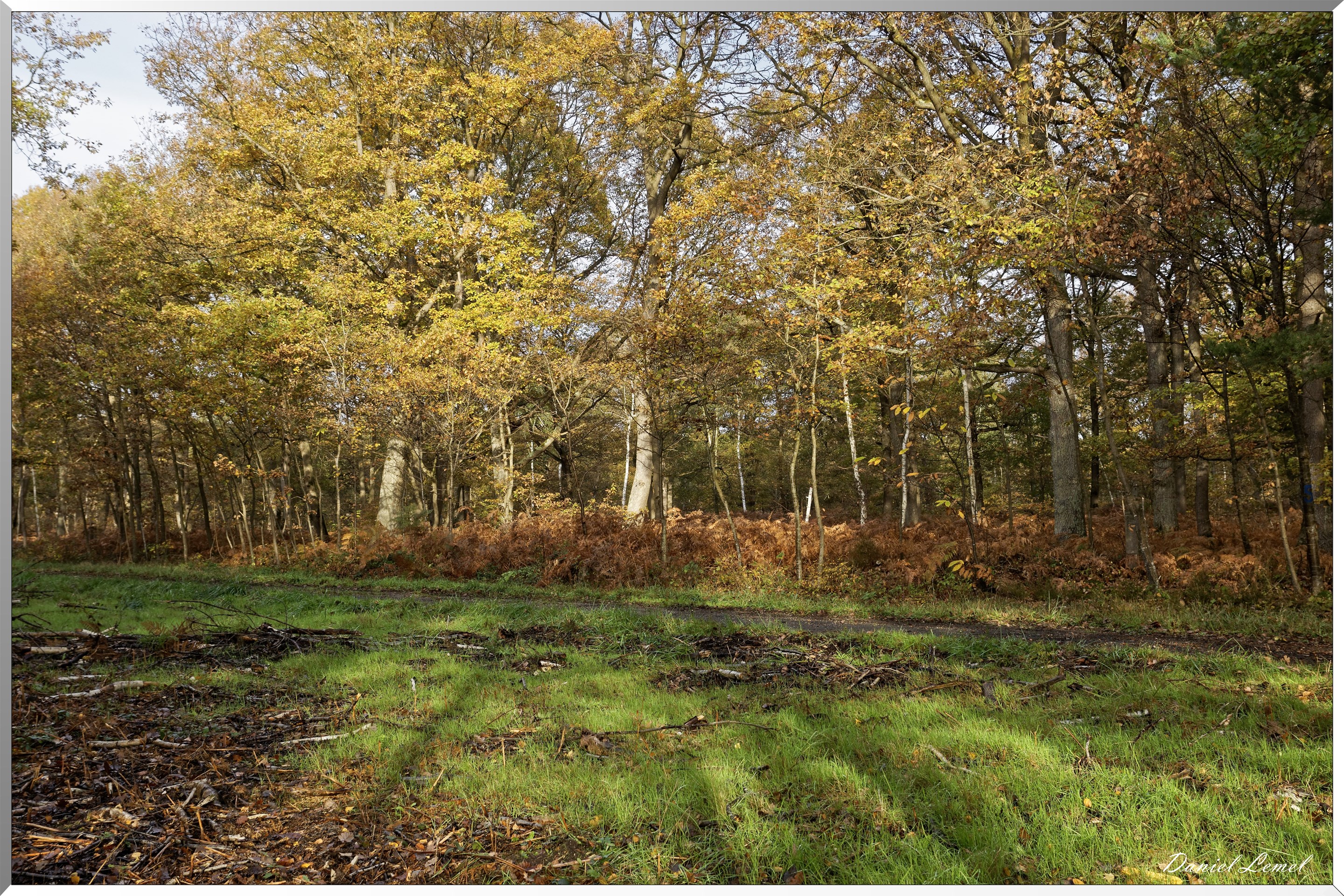 Plateau de l'espace - Vernon