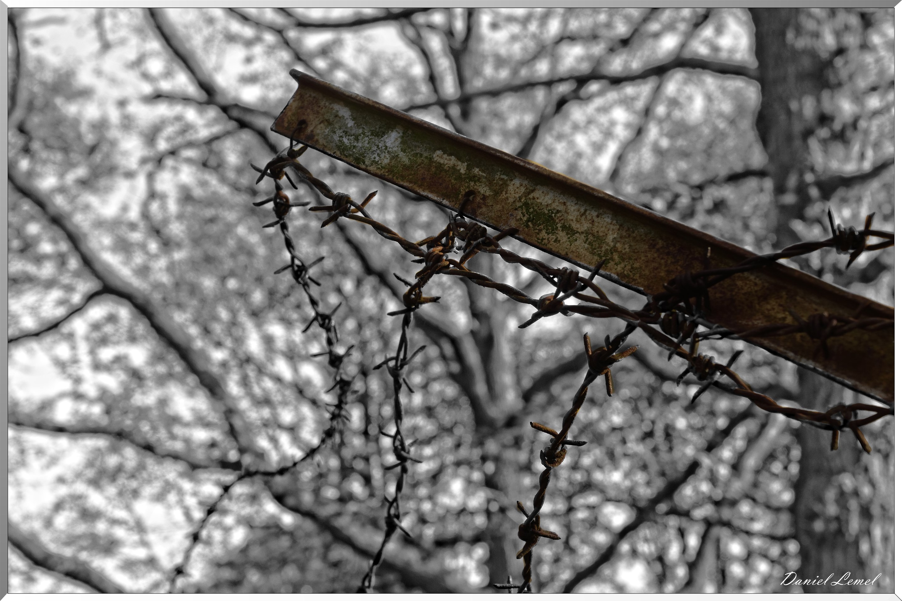 Plateau de l'espace - Vernon