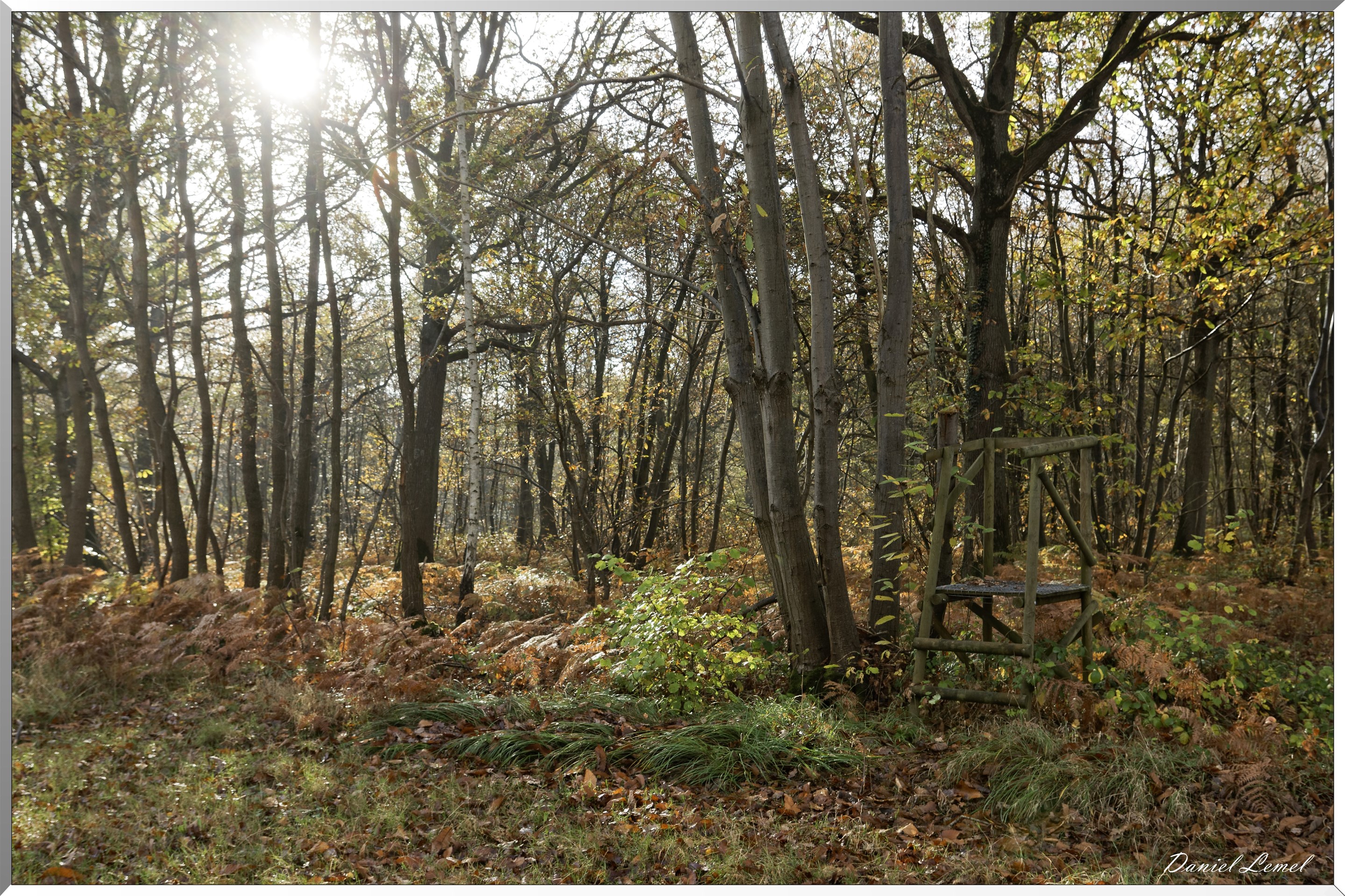 Plateau de l'espace - Vernon