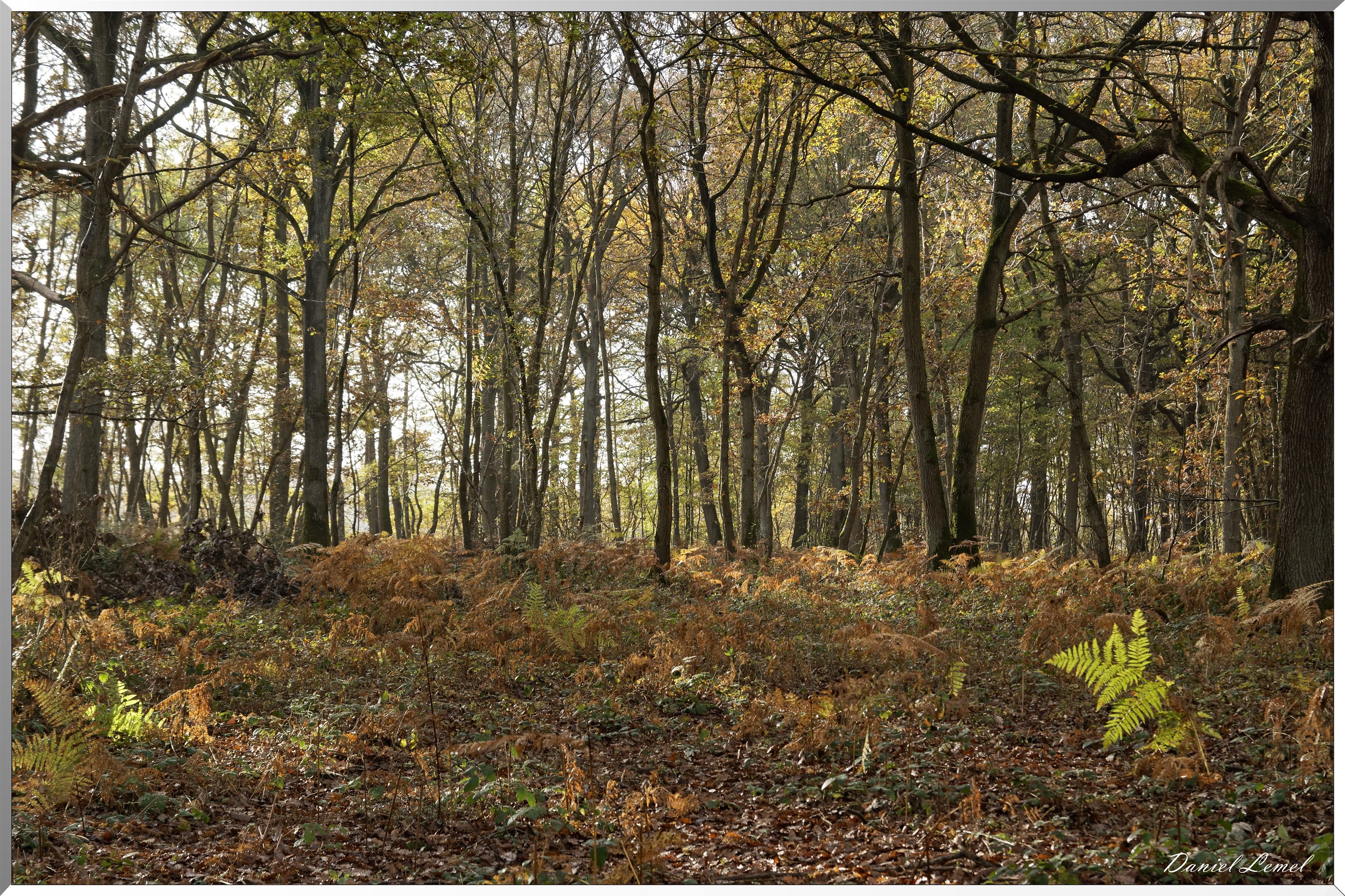 Plateau de l'espace - Vernon