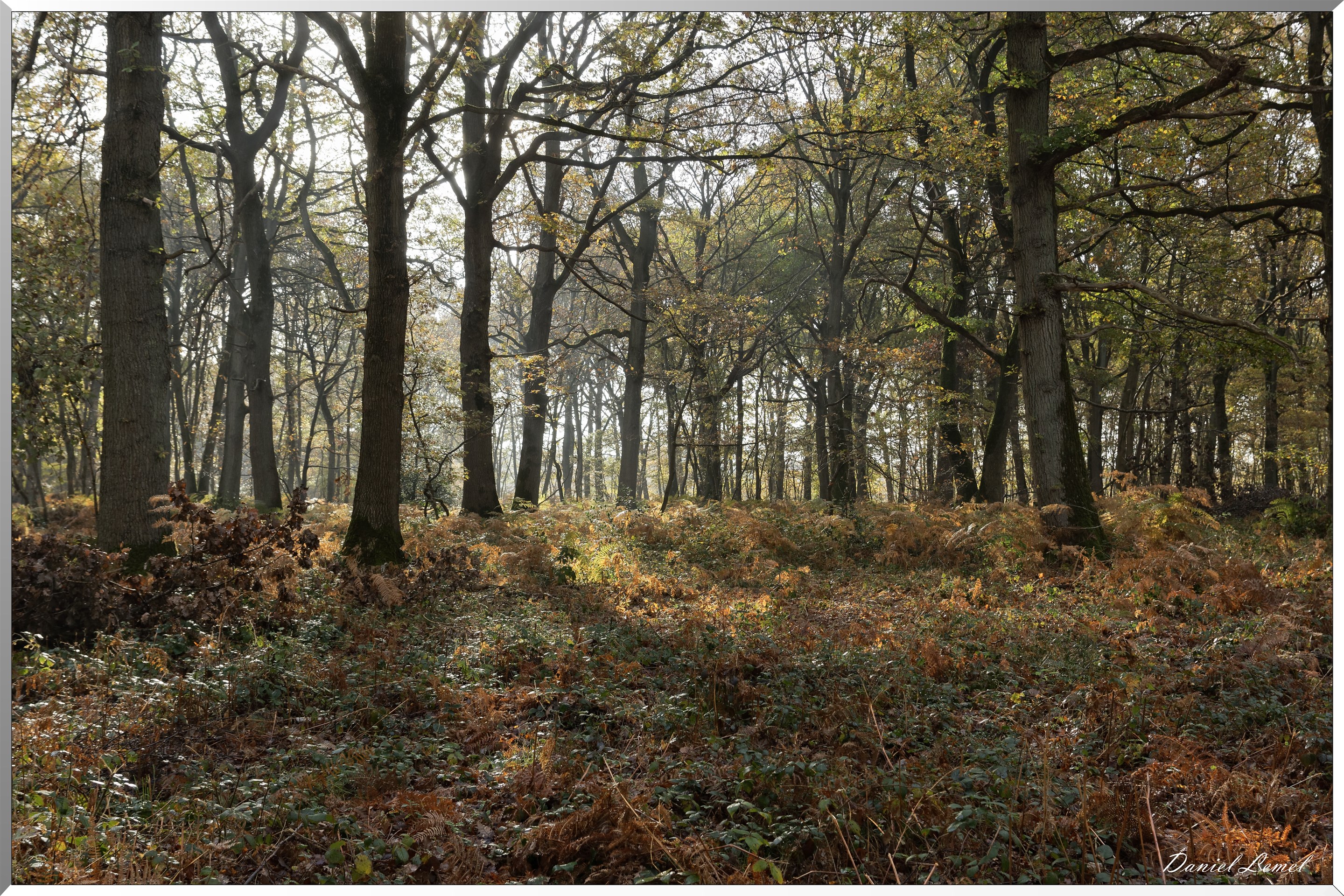Plateau de l'espace - Vernon