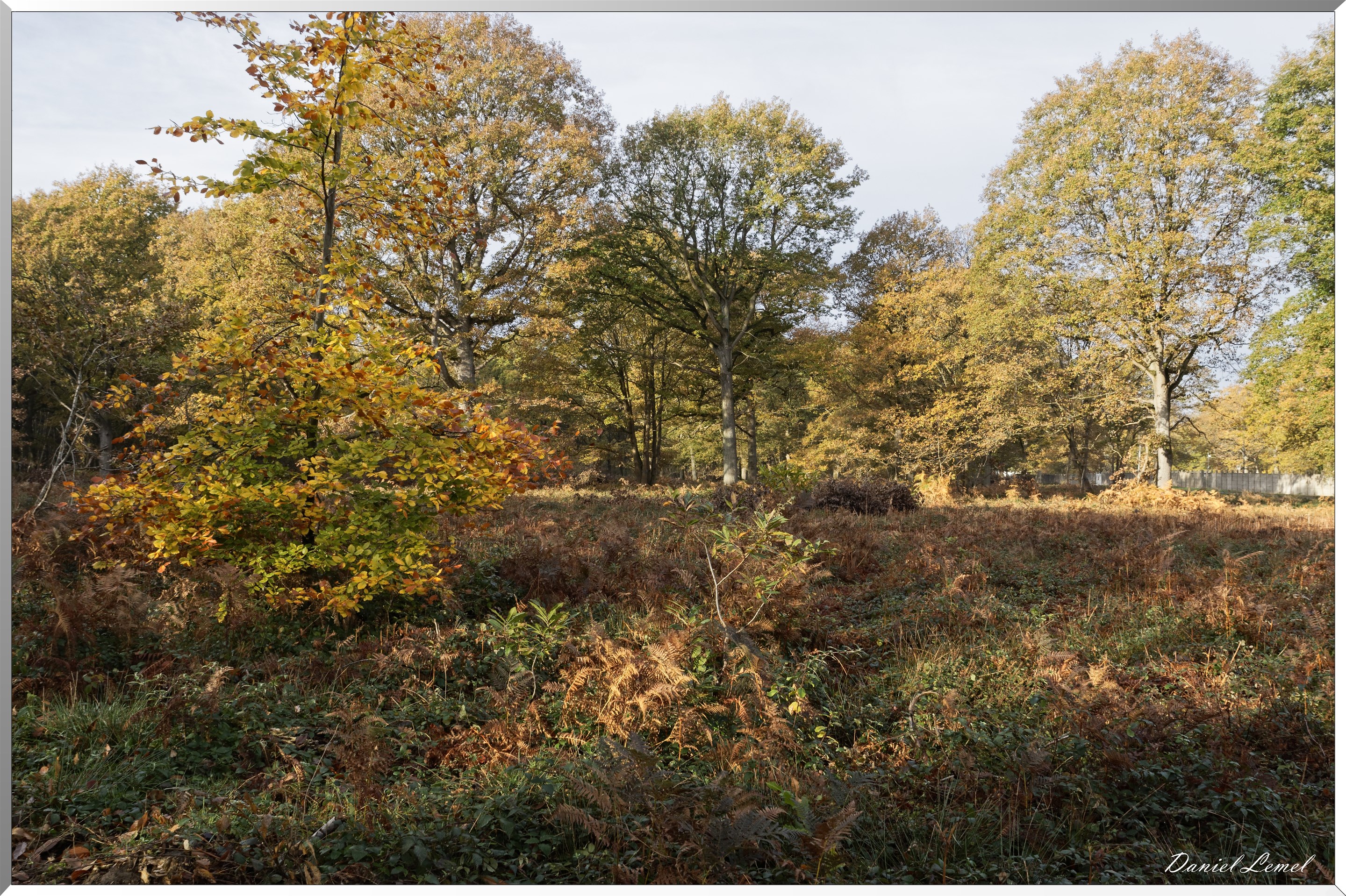 Plateau de l'espace - Vernon