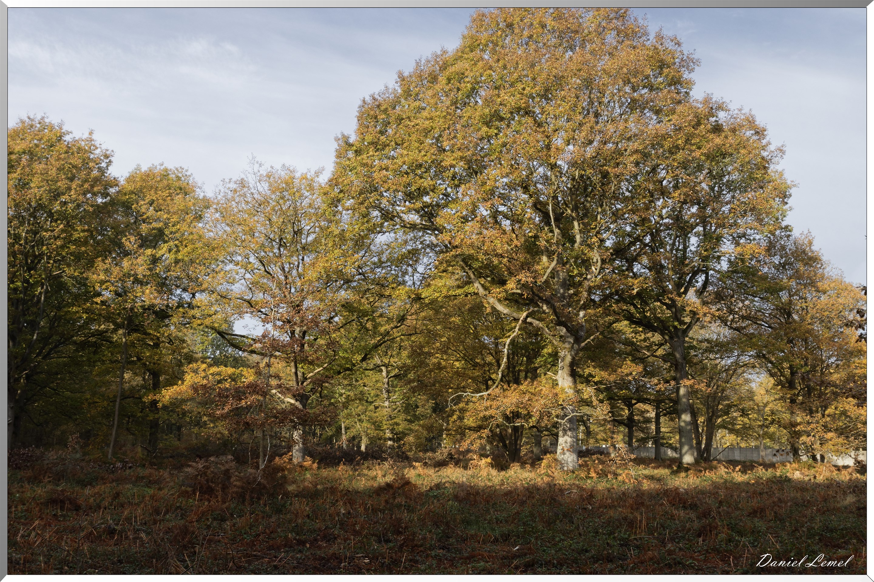 Plateau de l'espace - Vernon