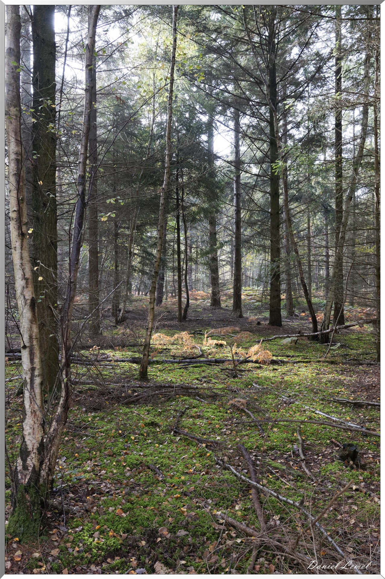 Plateau de l'espace - Vernon