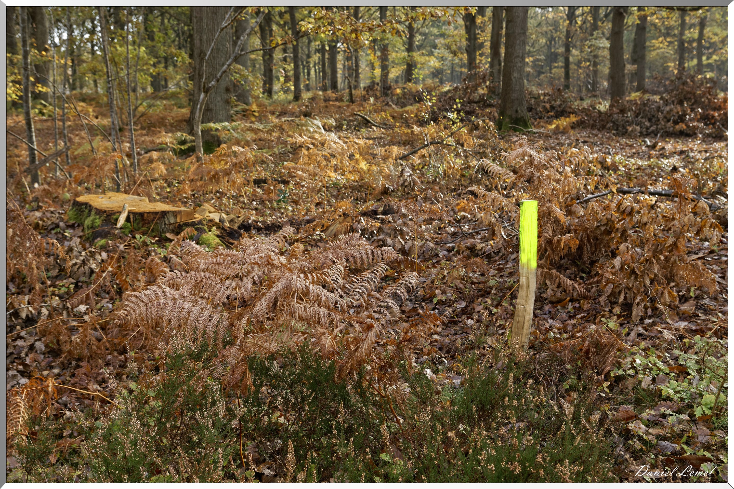 Plateau de l'espace - Vernon