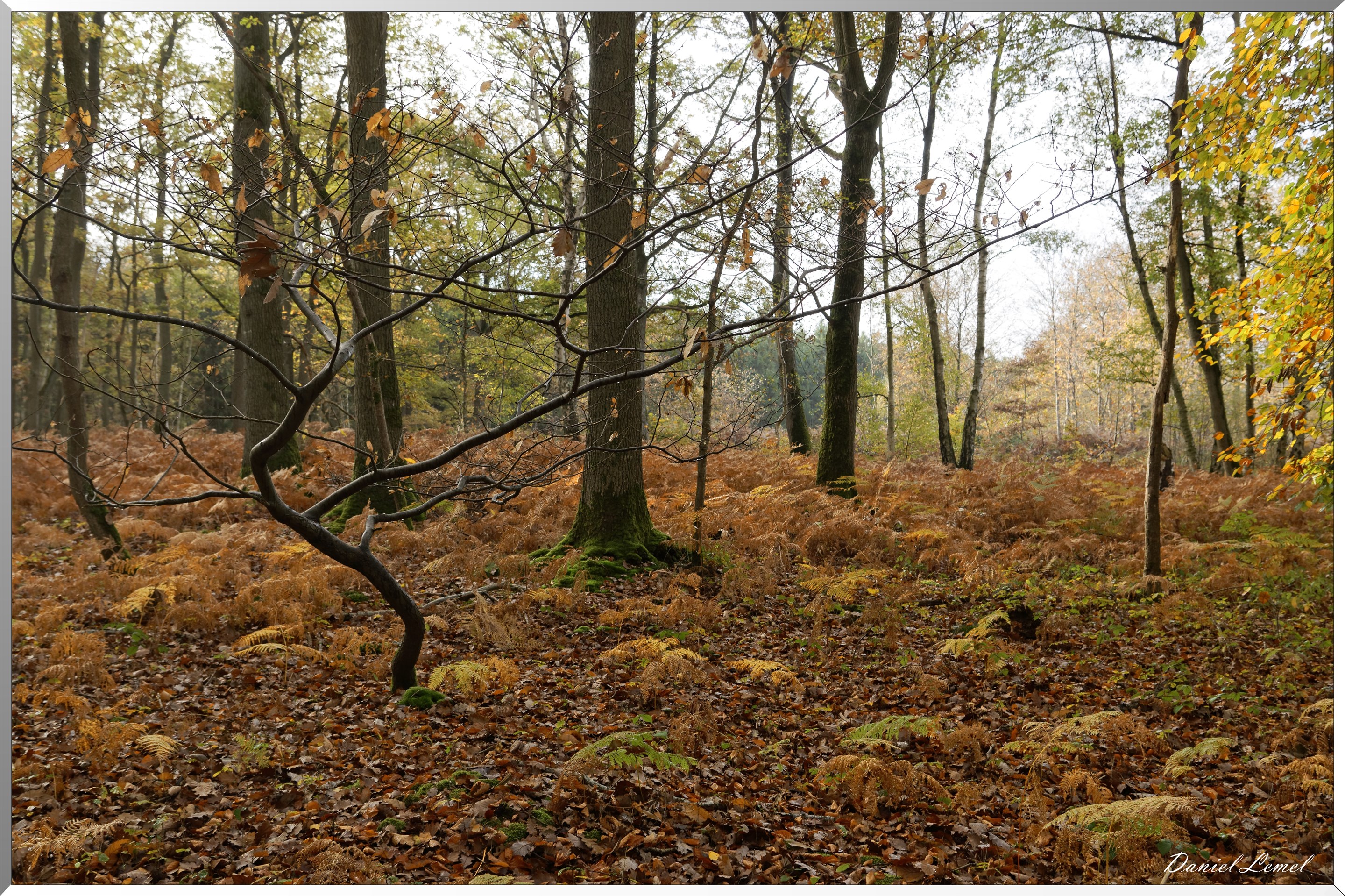 Plateau de l'espace - Vernon