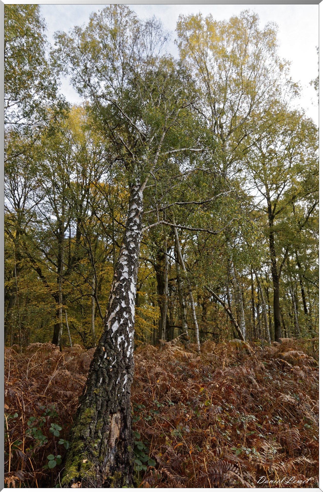 Plateau de l'espace - Vernon