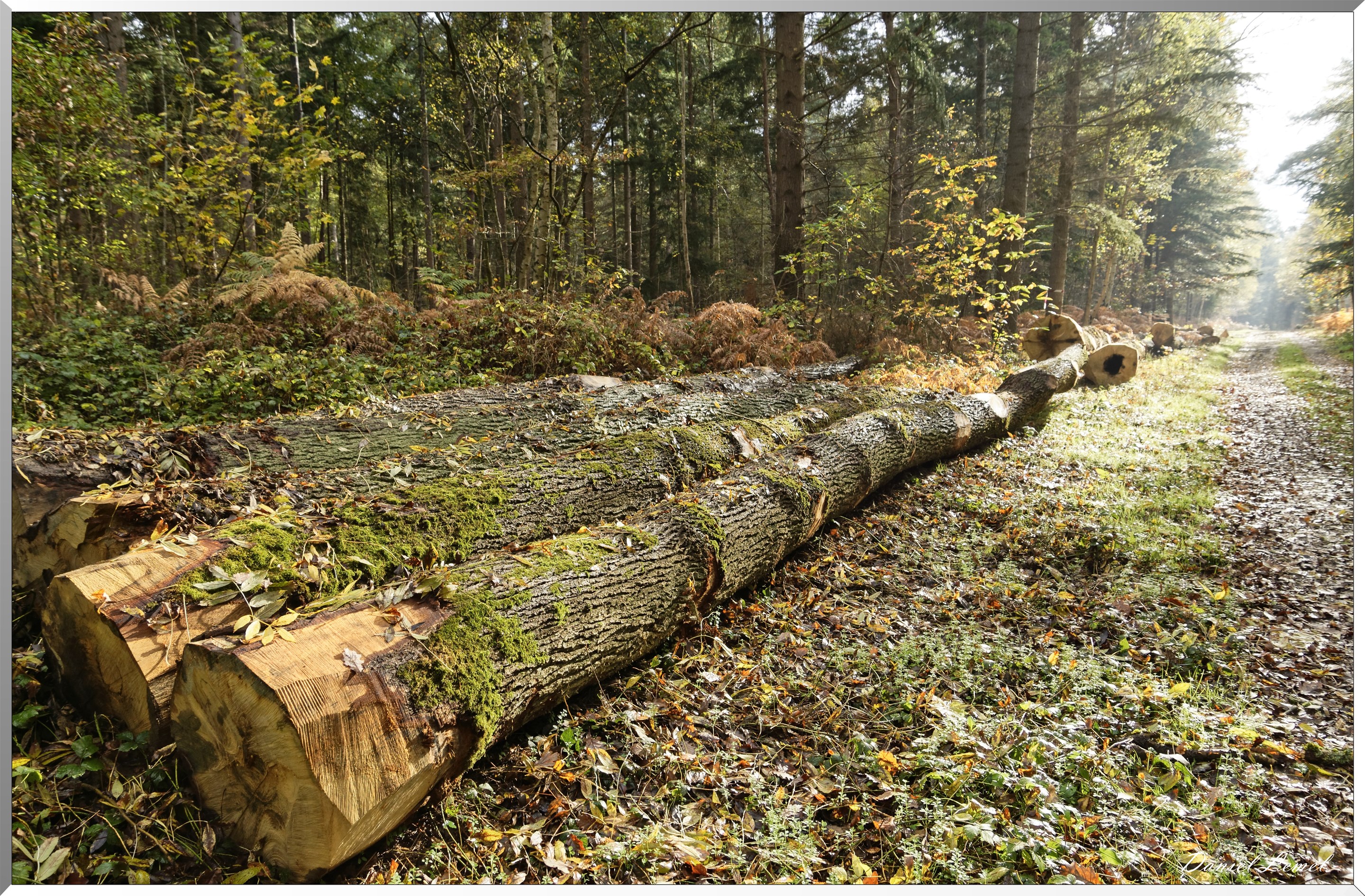 Plateau de l'espace - Vernon