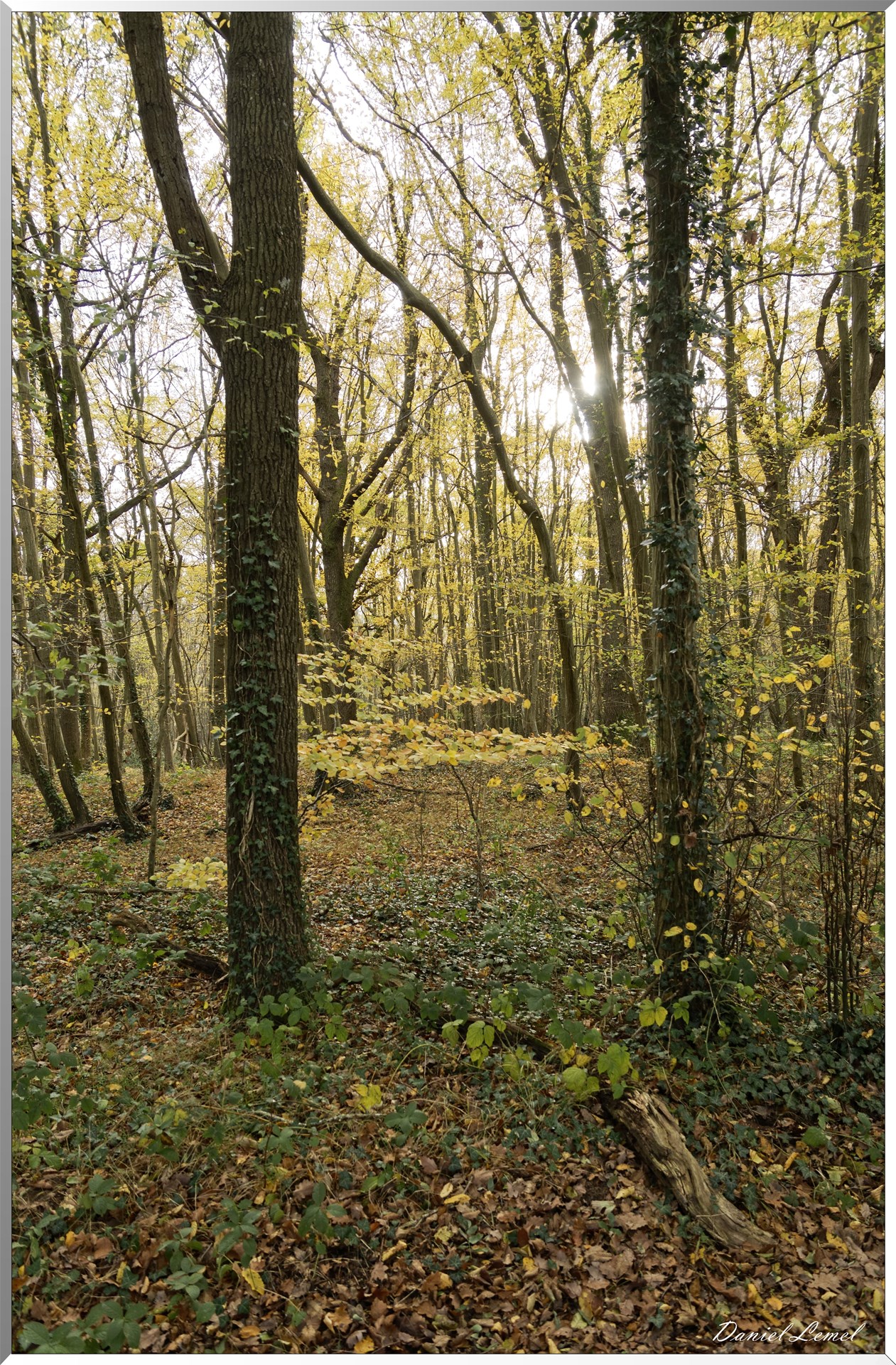 Vétheuil