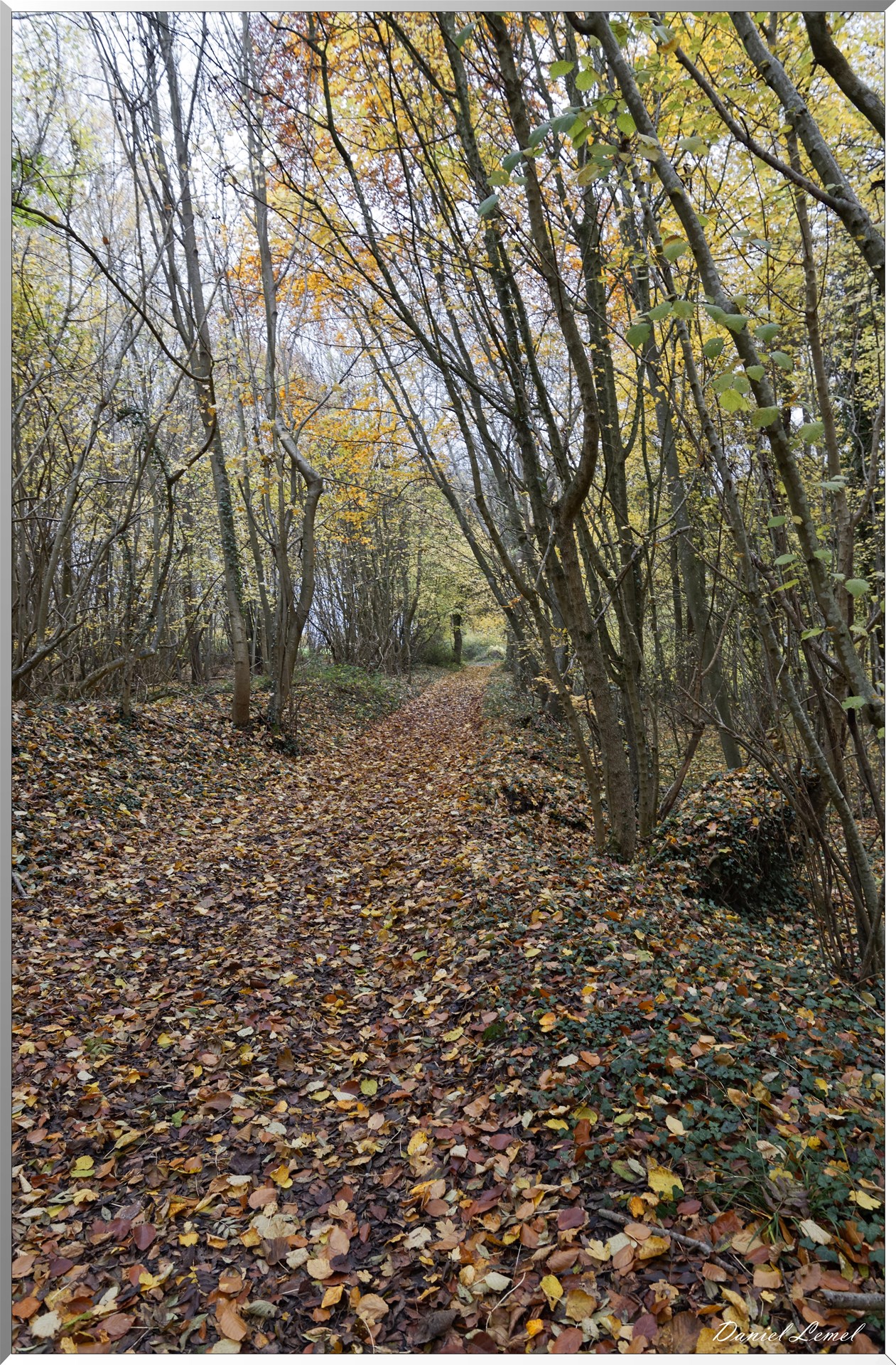 Saint-Aubin-sur-Gaillon