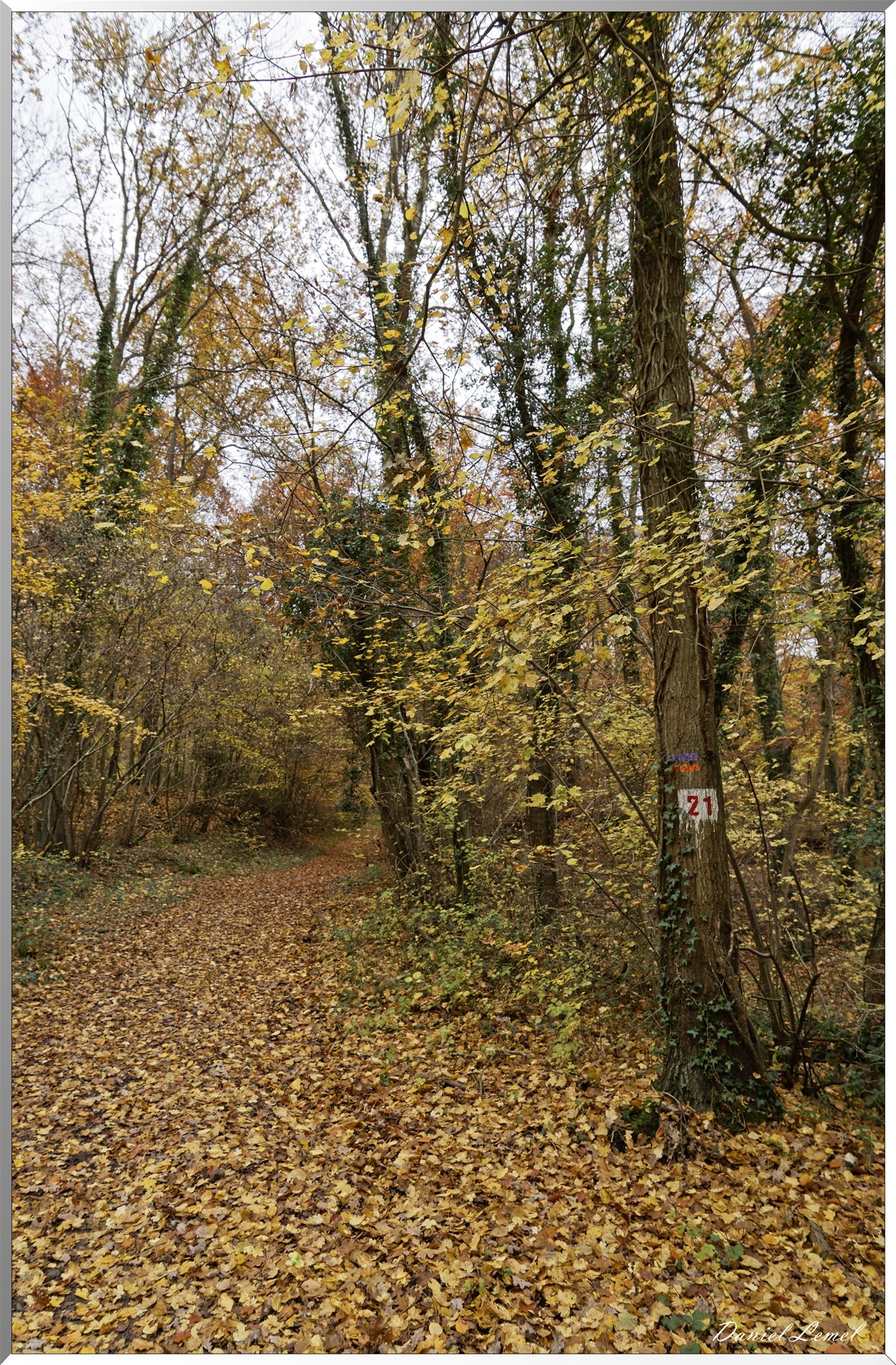 Saint-Aubin-sur-Gaillon