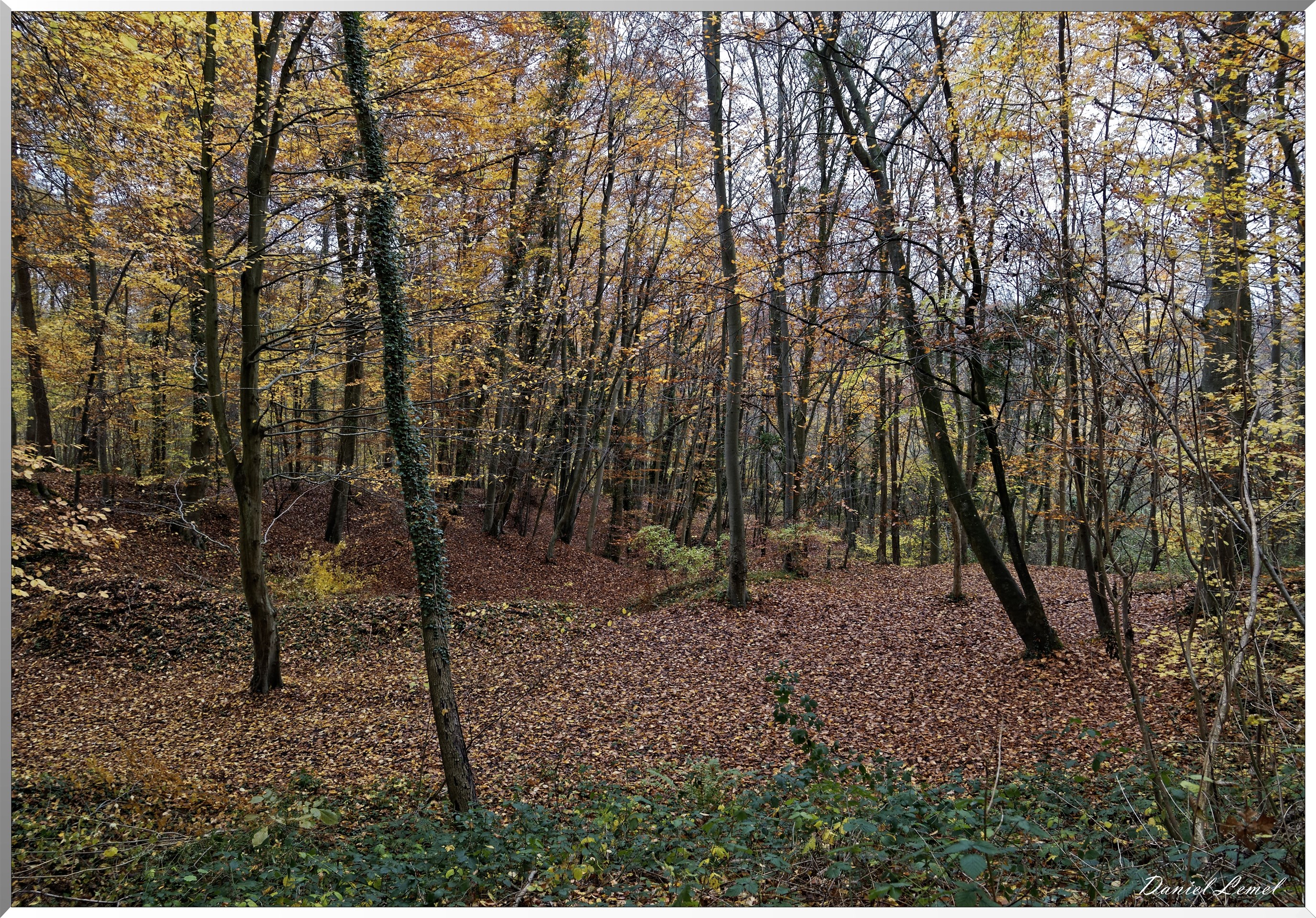 Saint-Aubin-sur-Gaillon