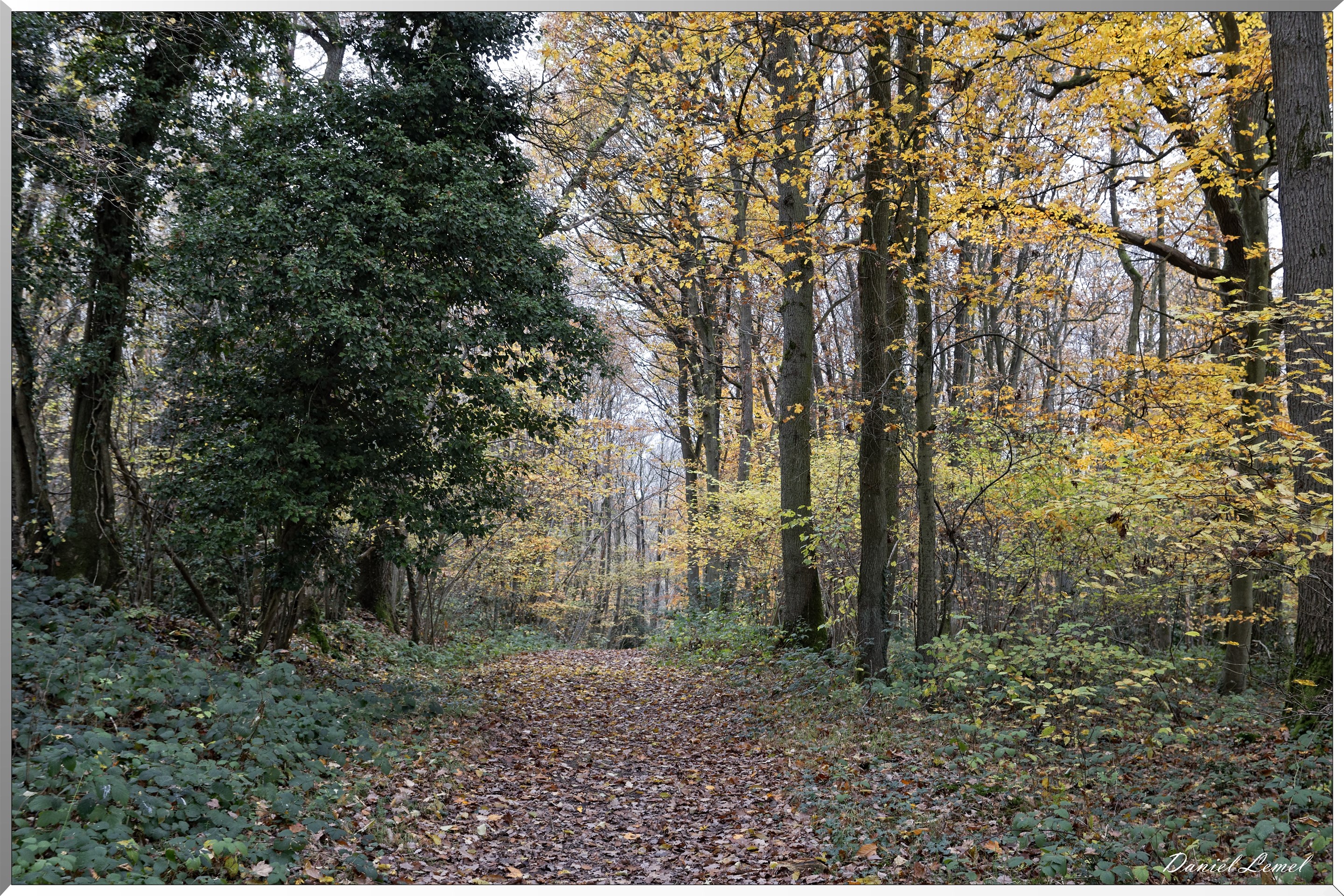 Saint-Aubin-sur-Gaillon