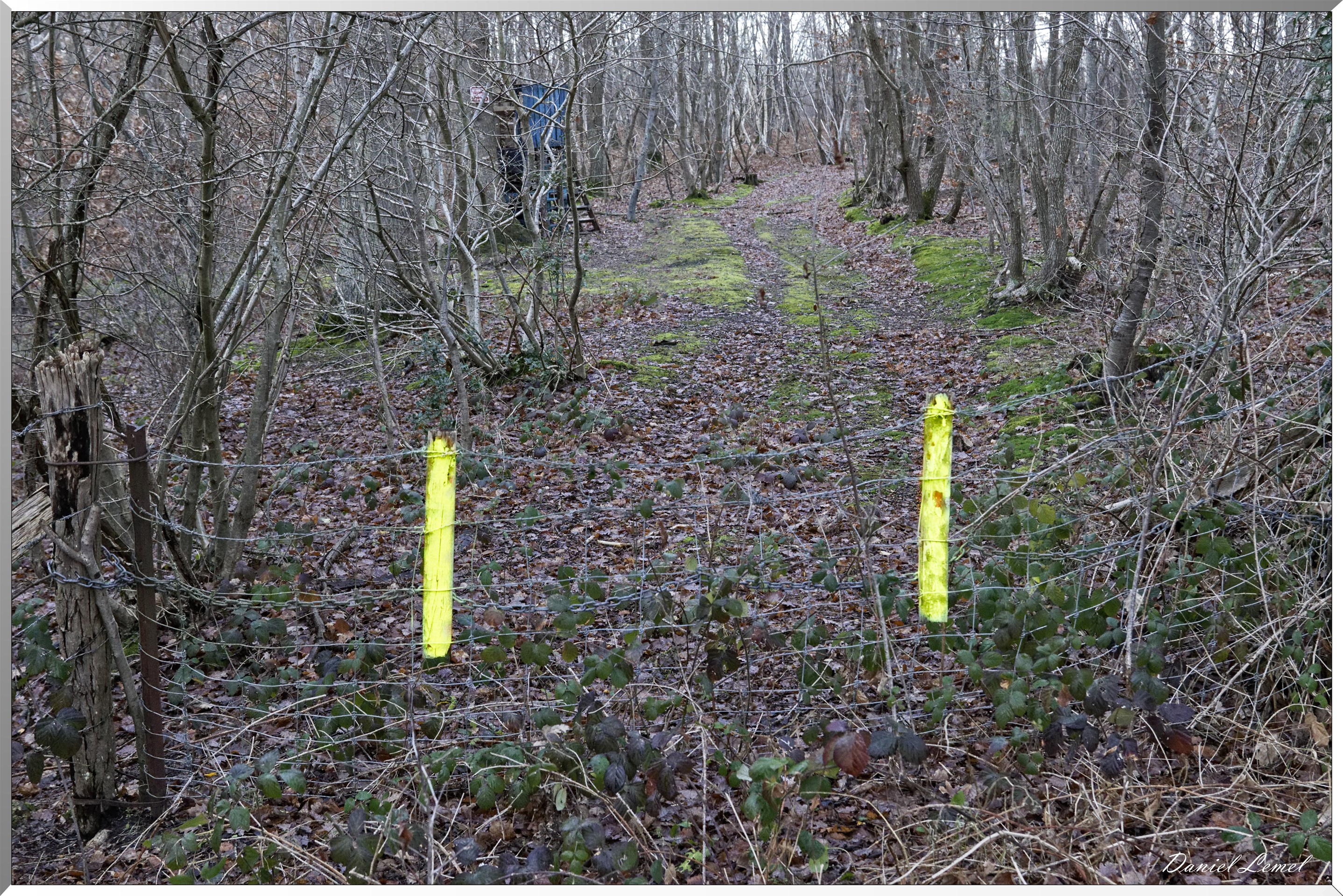 La chapelle Réanville