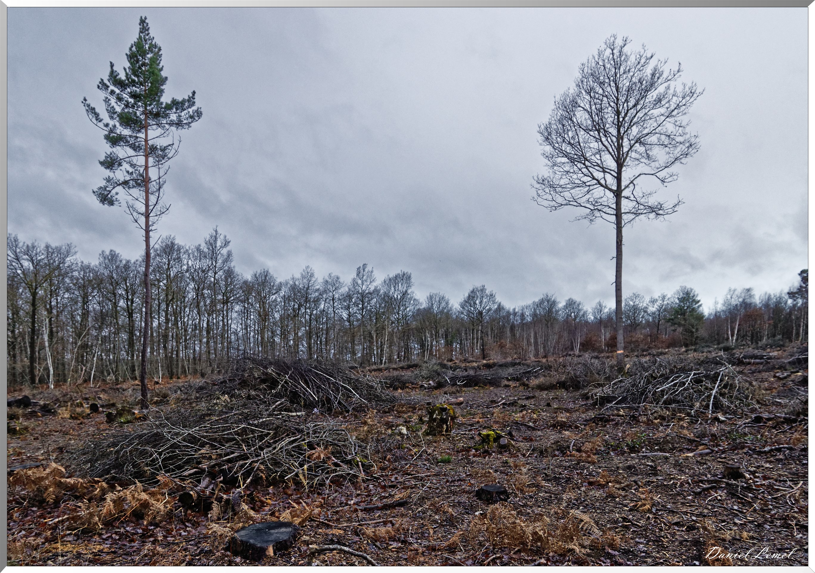 La chapelle Réanville