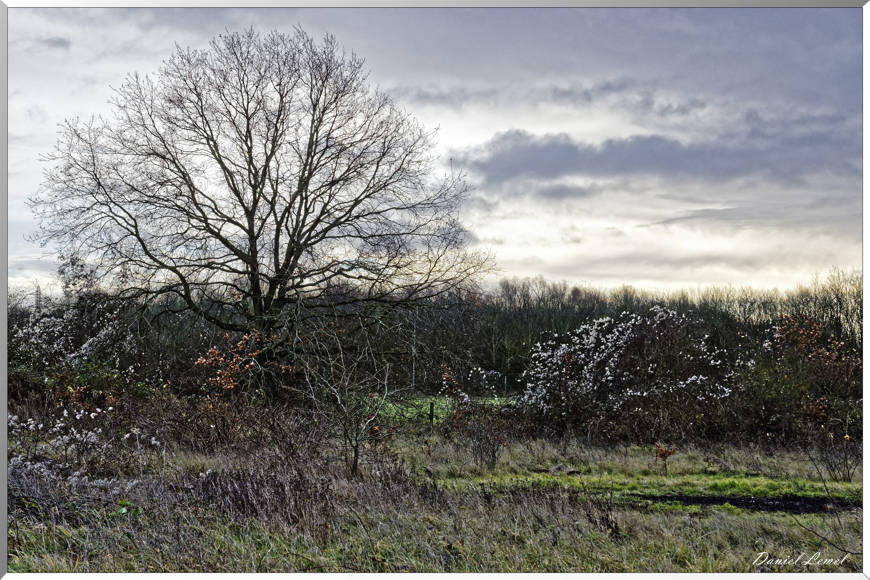 La chapelle Réanville