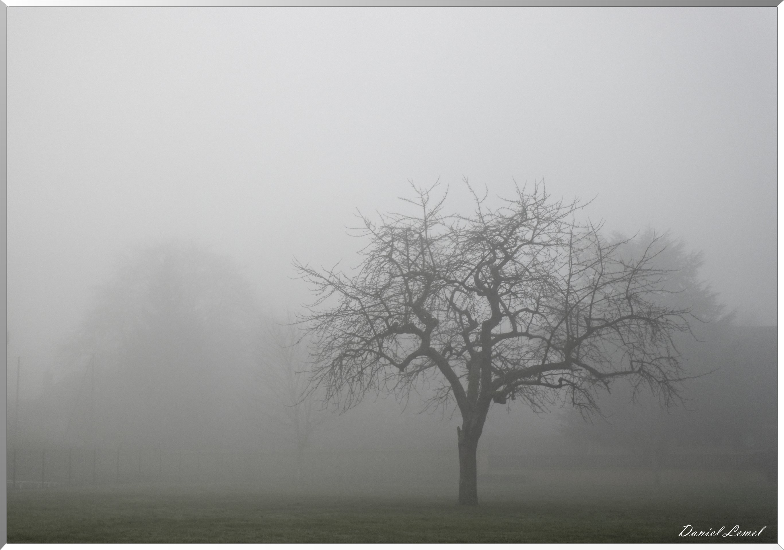 Saint-Pierre-la-Garenne