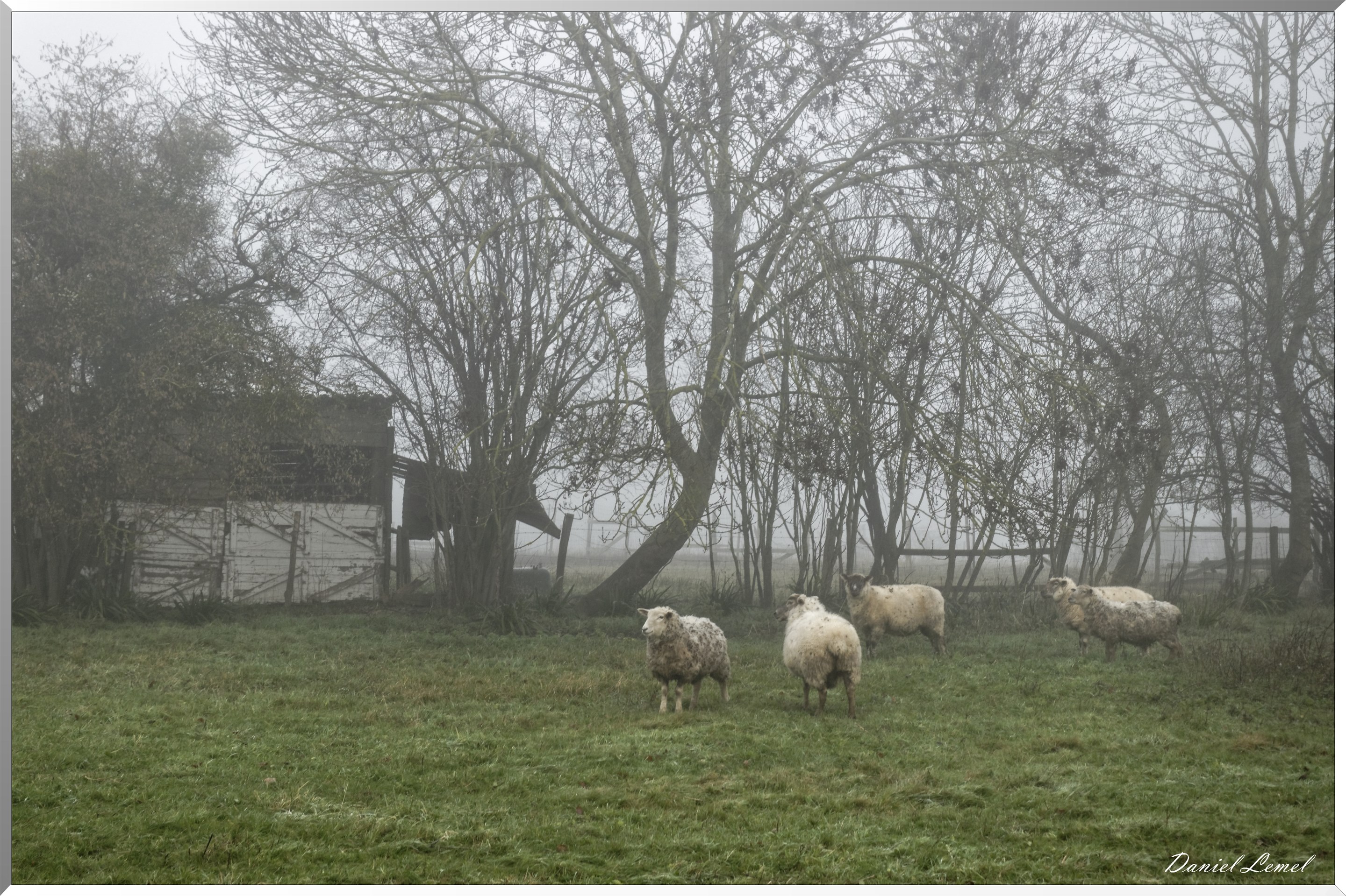 Saint-Pierre-la-Garenne