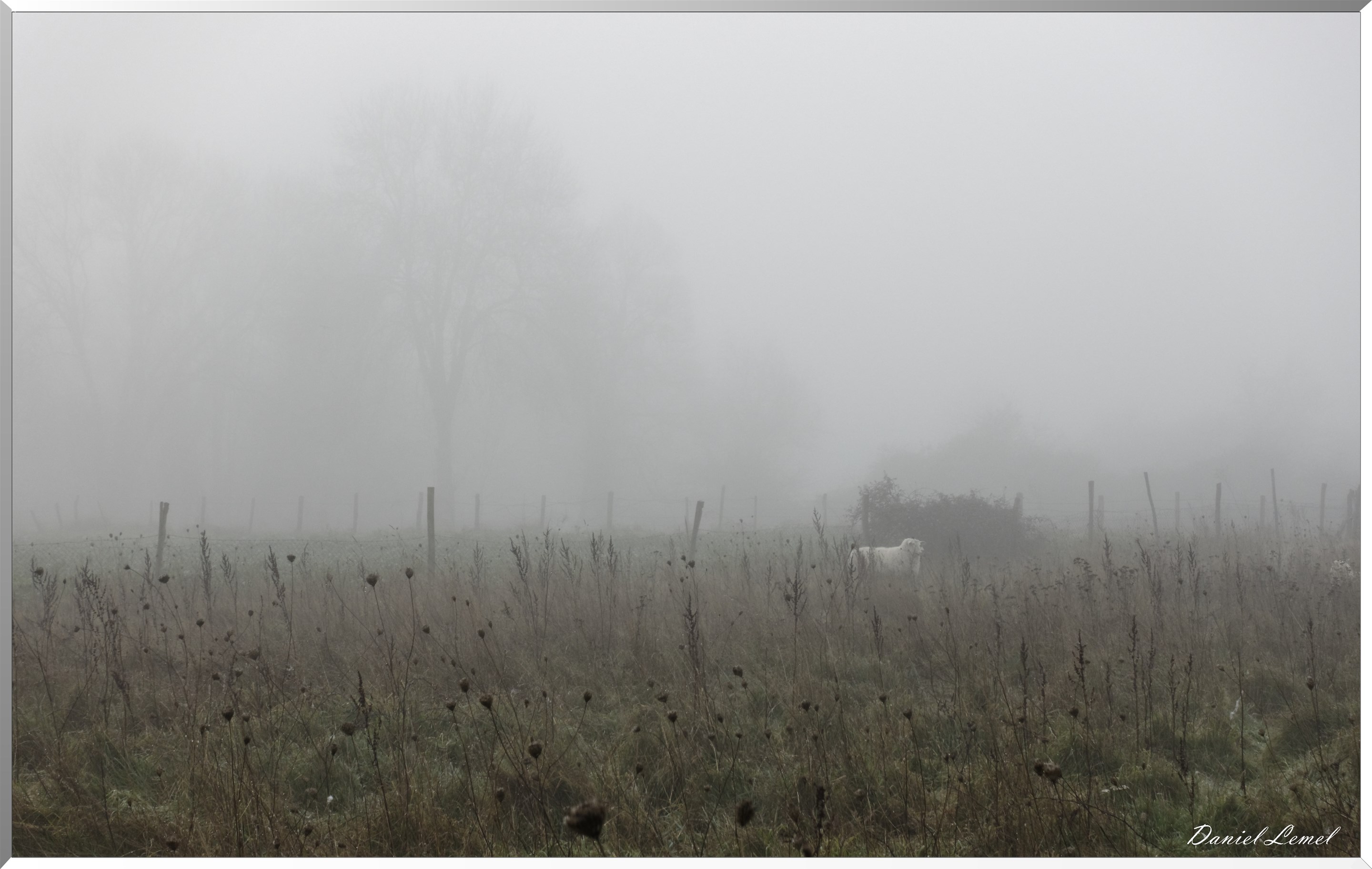 Saint-Pierre-la-Garenne