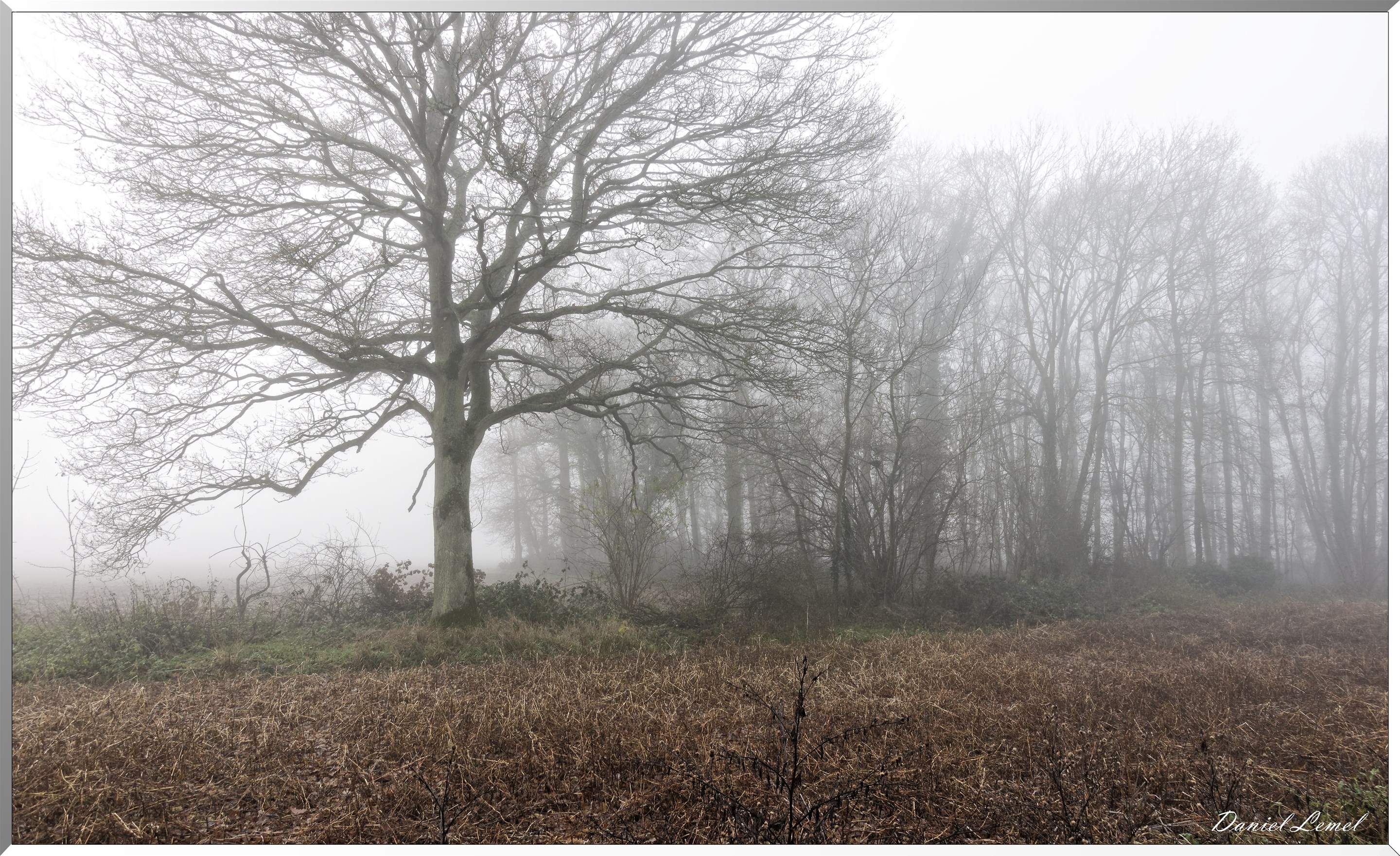 Saint-Pierre-la-Garenne