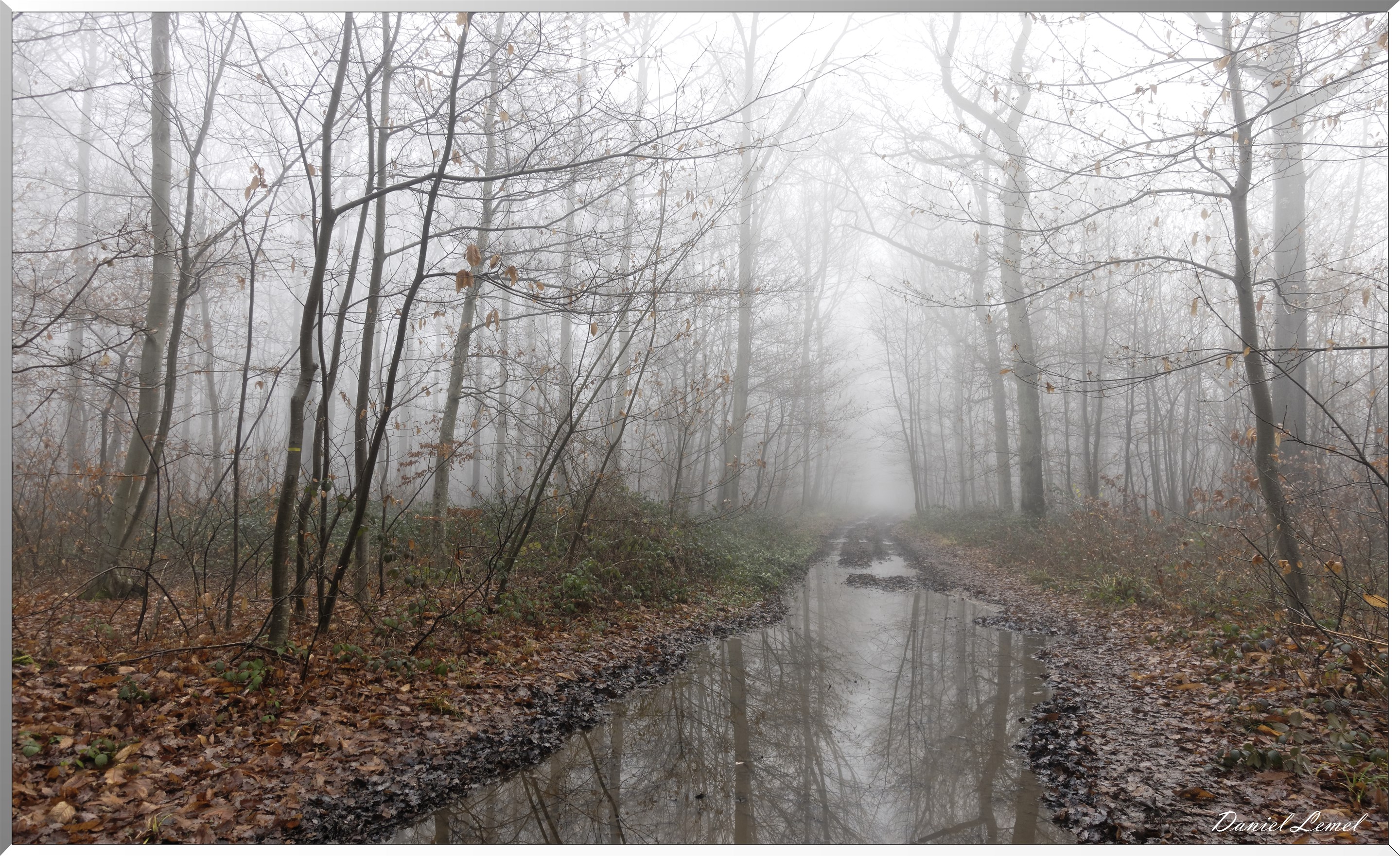 Saint-Pierre-la-Garenne