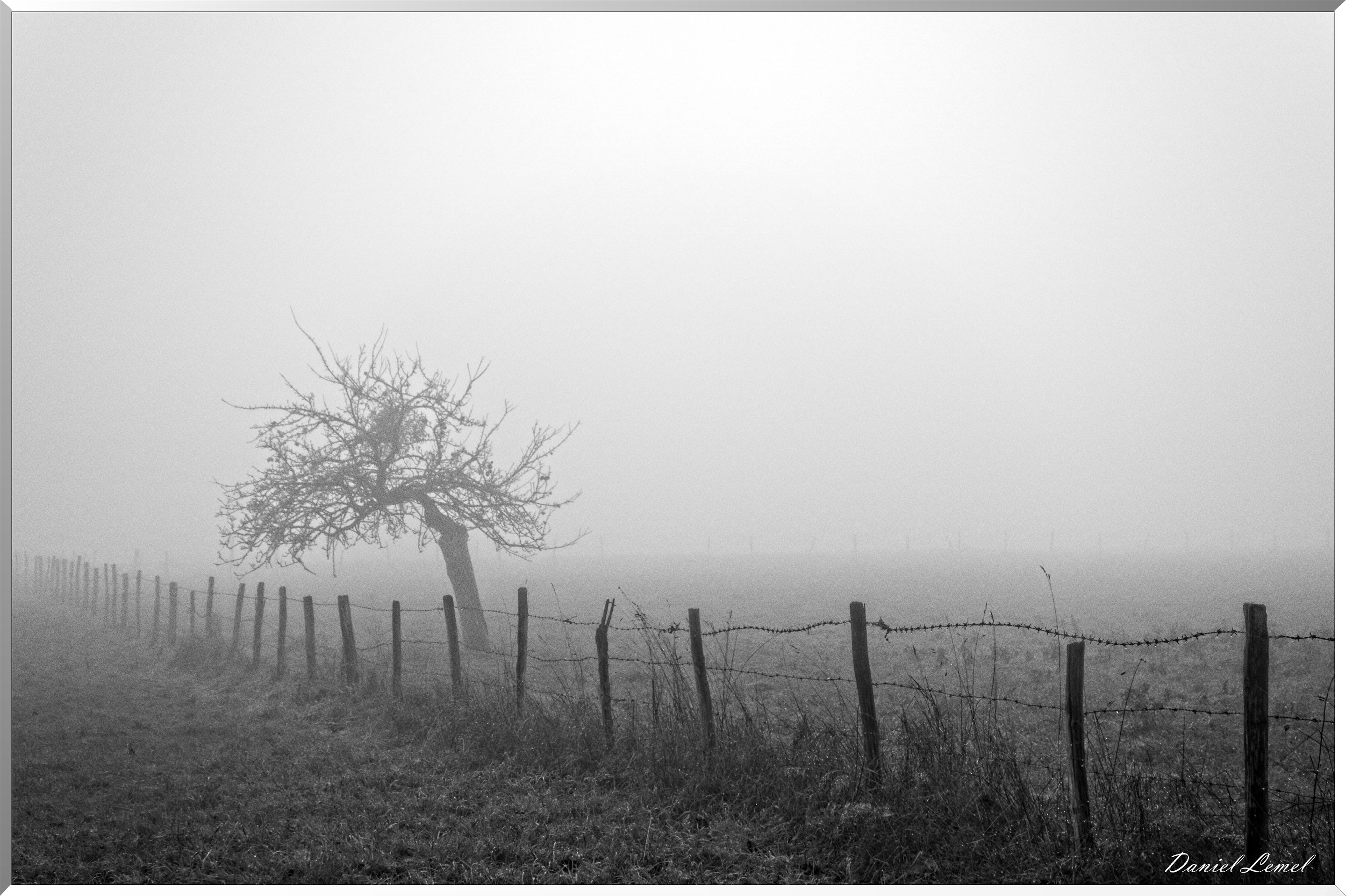 Saint-Pierre-la-Garenne