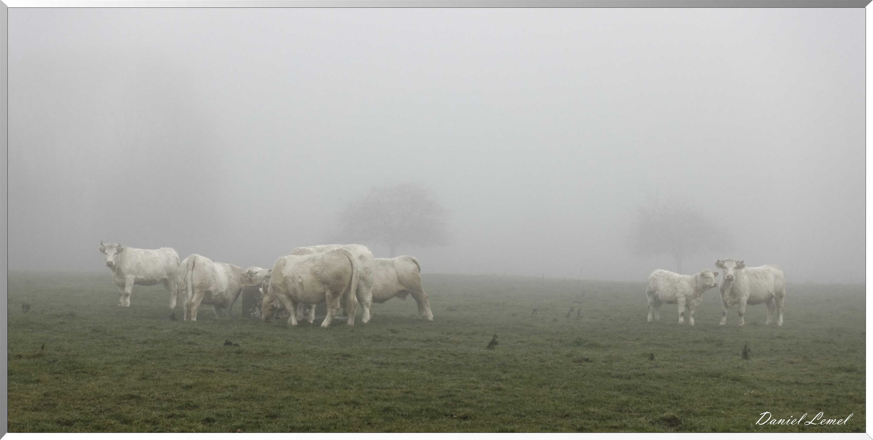 Saint-Pierre-la-Garenne