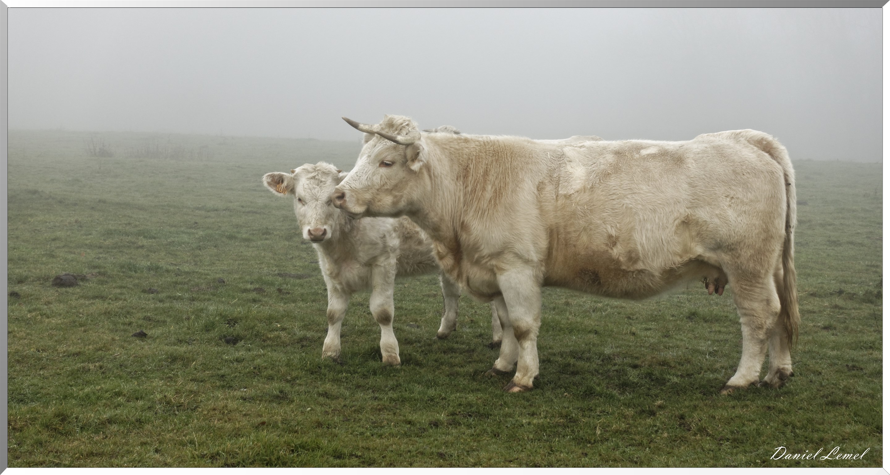 Saint-Pierre-la-Garenne
